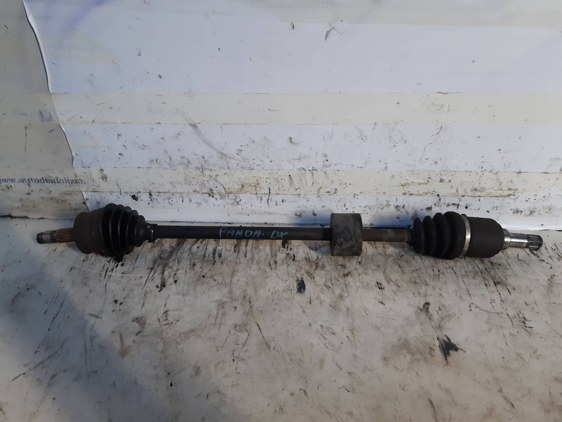 Semialbero ant. compl. dx. Semialbero ant. compl. dx.