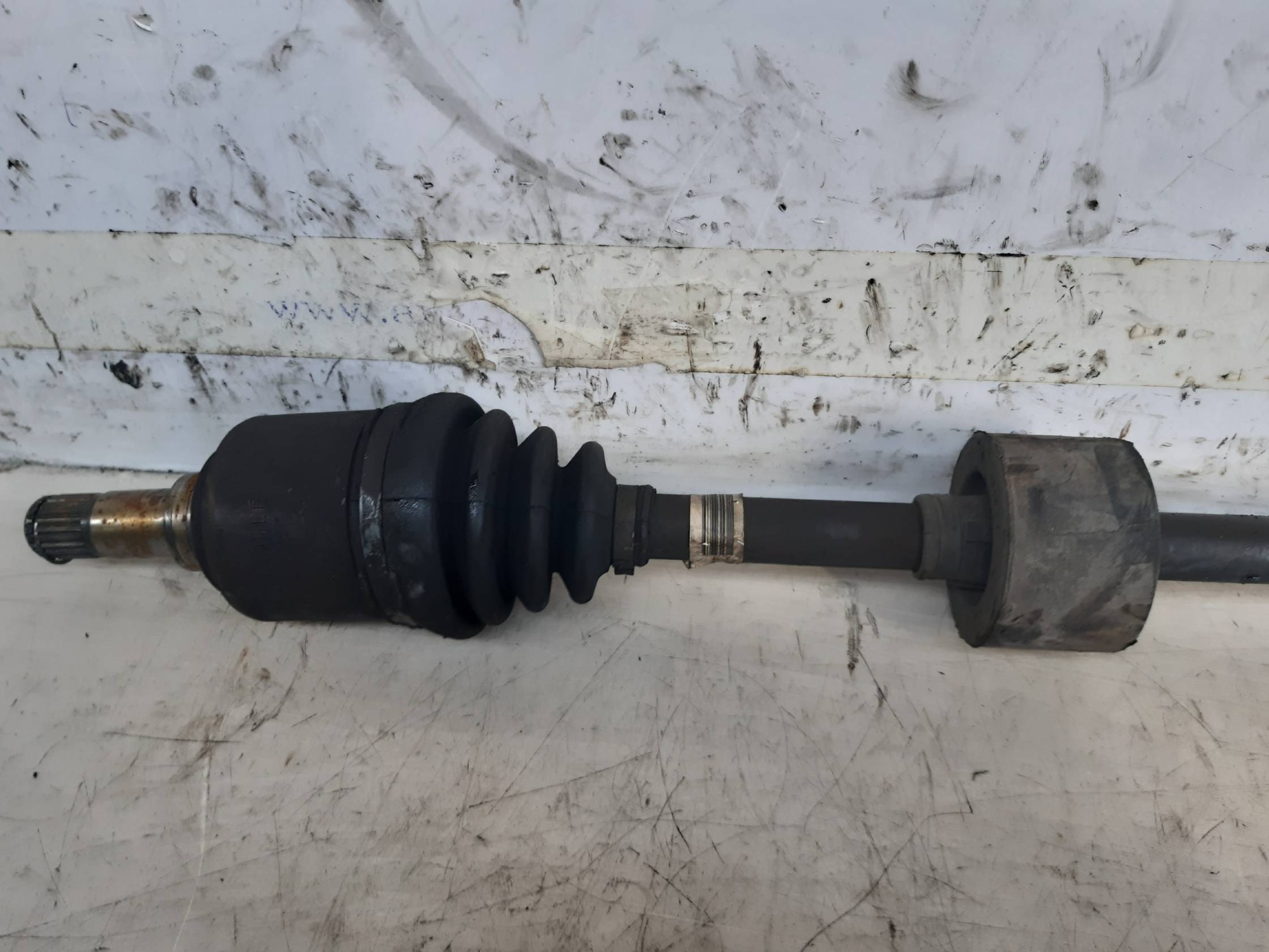 Semialbero ant. compl. dx. Semialbero ant. compl. dx.