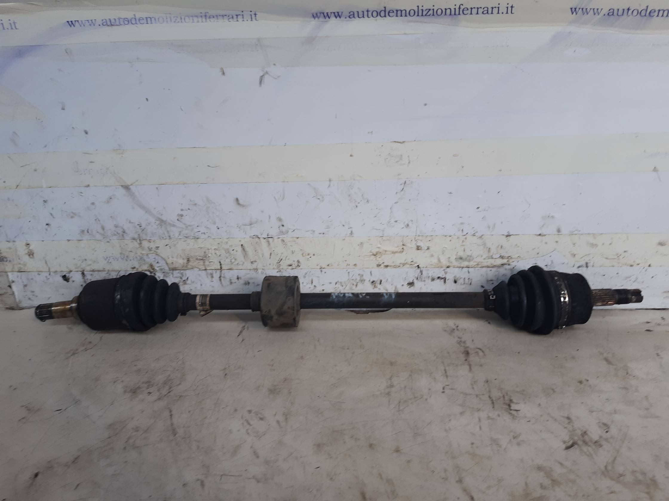 Semialbero ant. compl. dx. Semialbero ant. compl. dx.