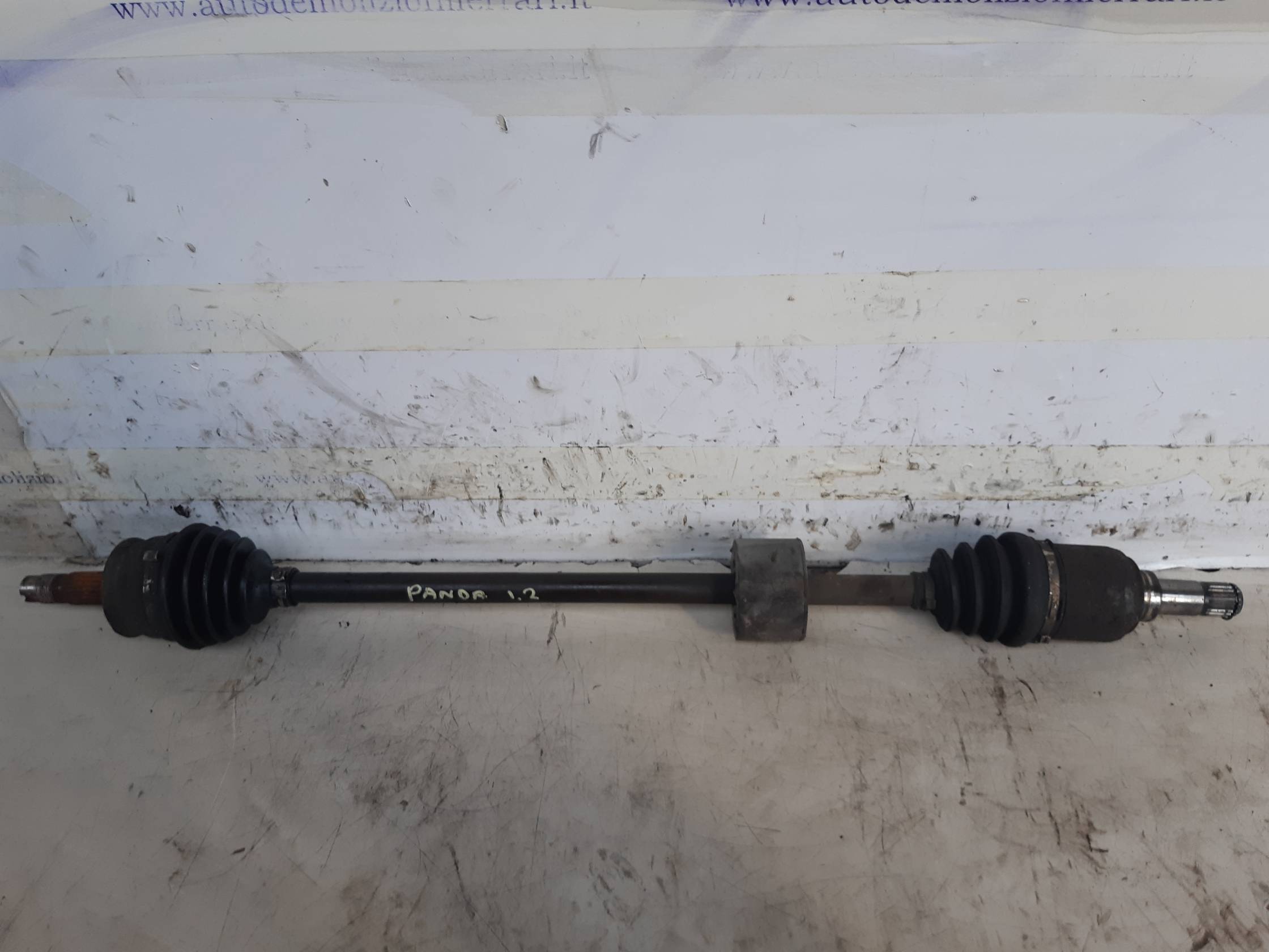 Semialbero ant. compl. dx. Semialbero ant. compl. dx.