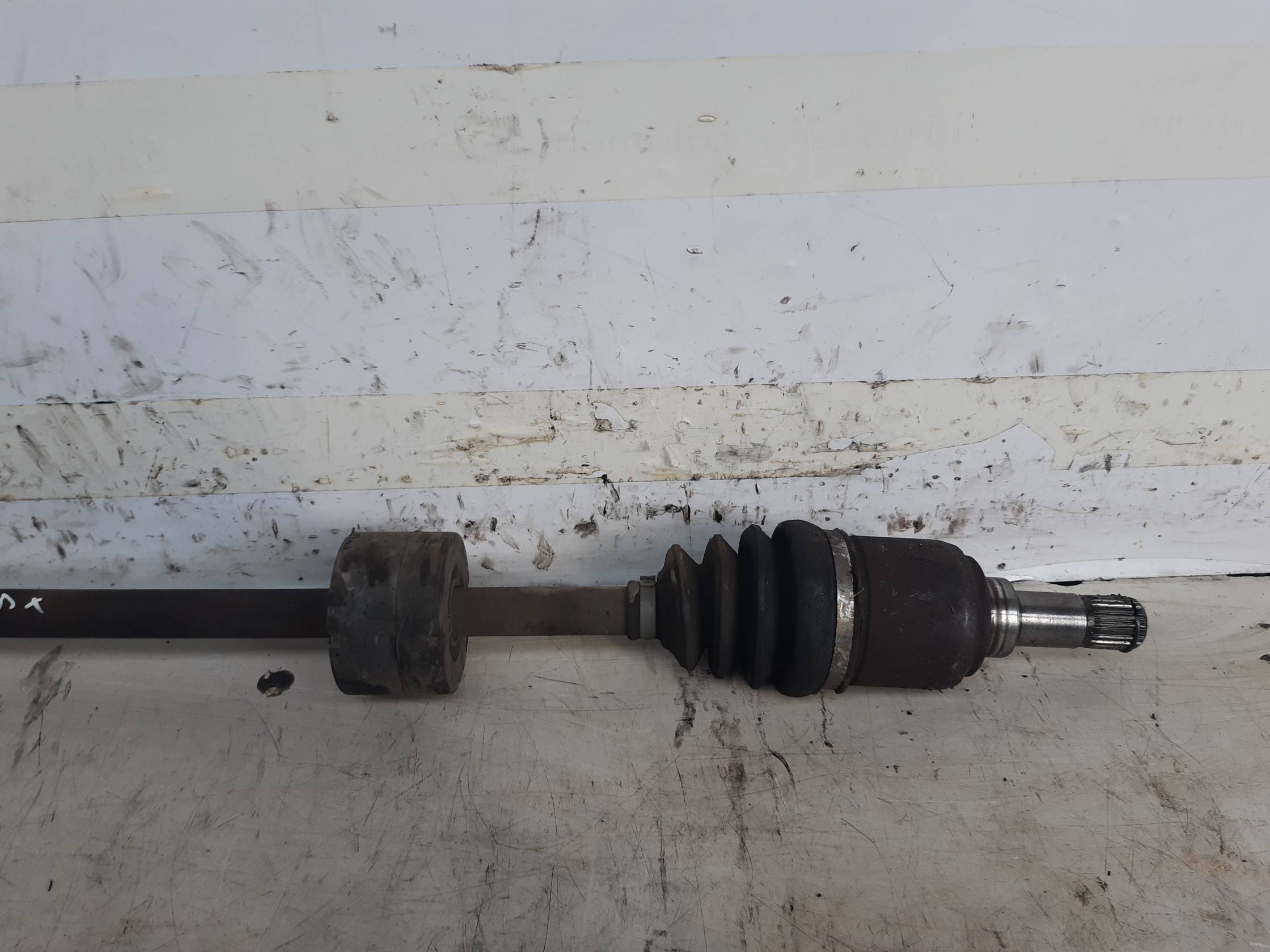 Semialbero ant. compl. dx.