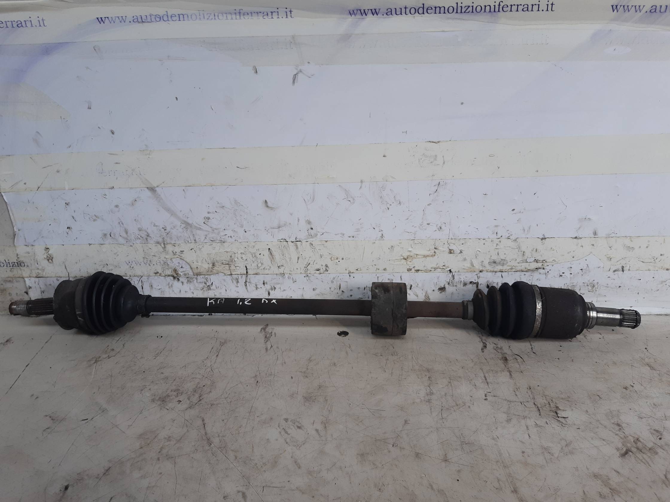 Semialbero ant. compl. dx.