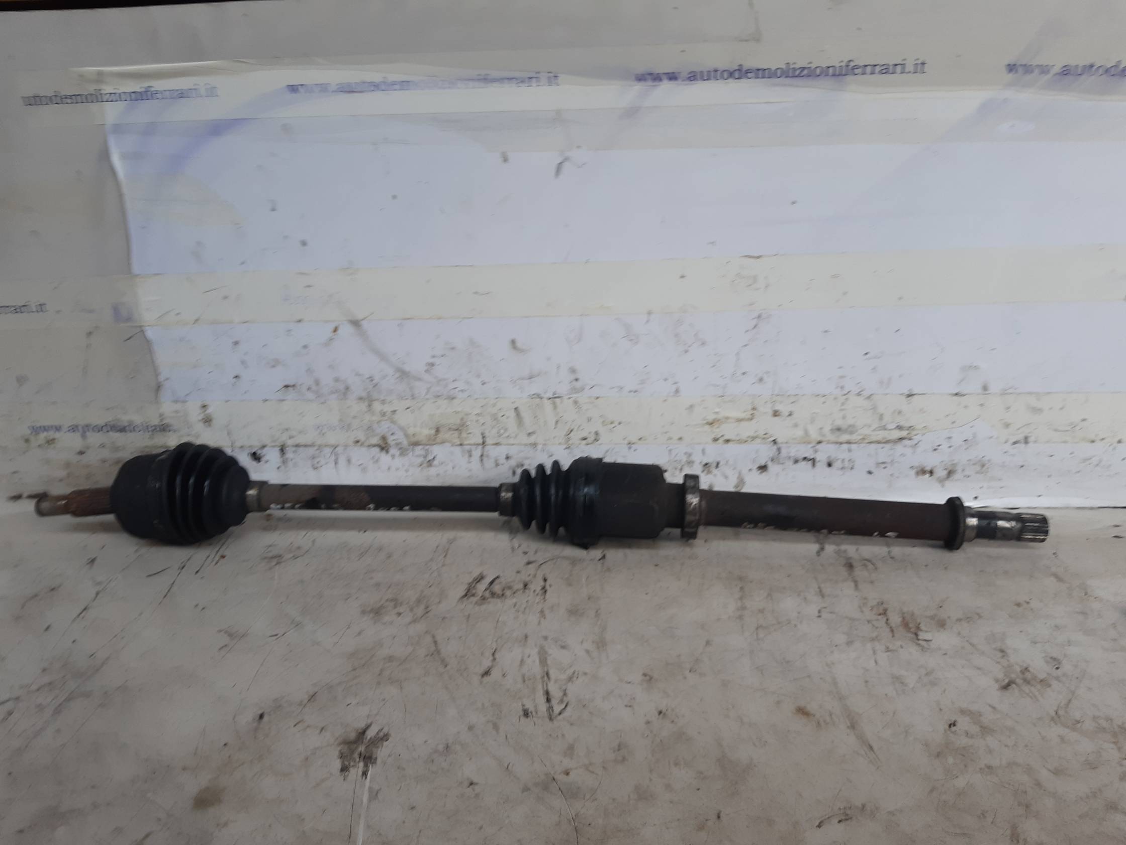 Semialbero ant. compl. dx. Semialbero ant. compl. dx.