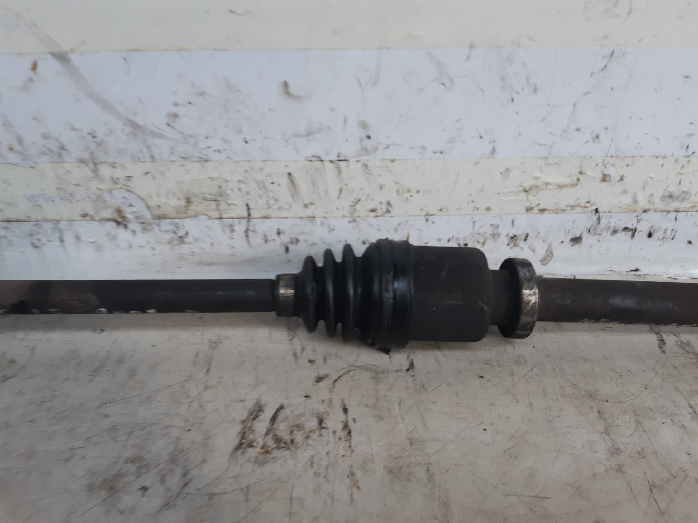 Semialbero ant. compl. dx. Semialbero ant. compl. dx.