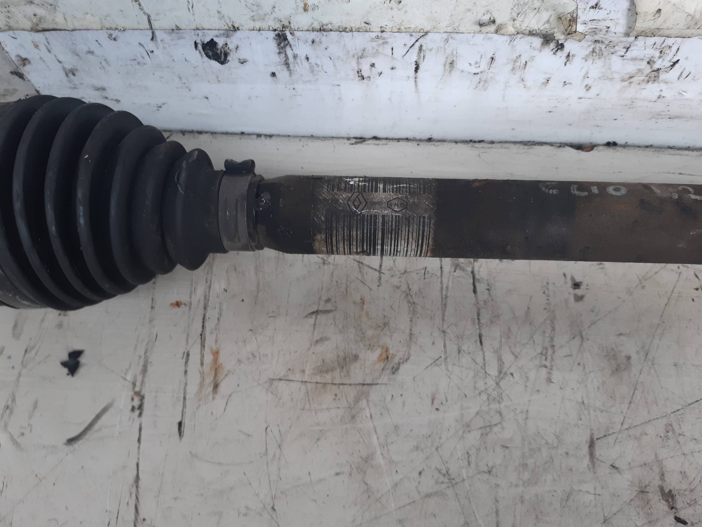 Semialbero ant. compl. dx.