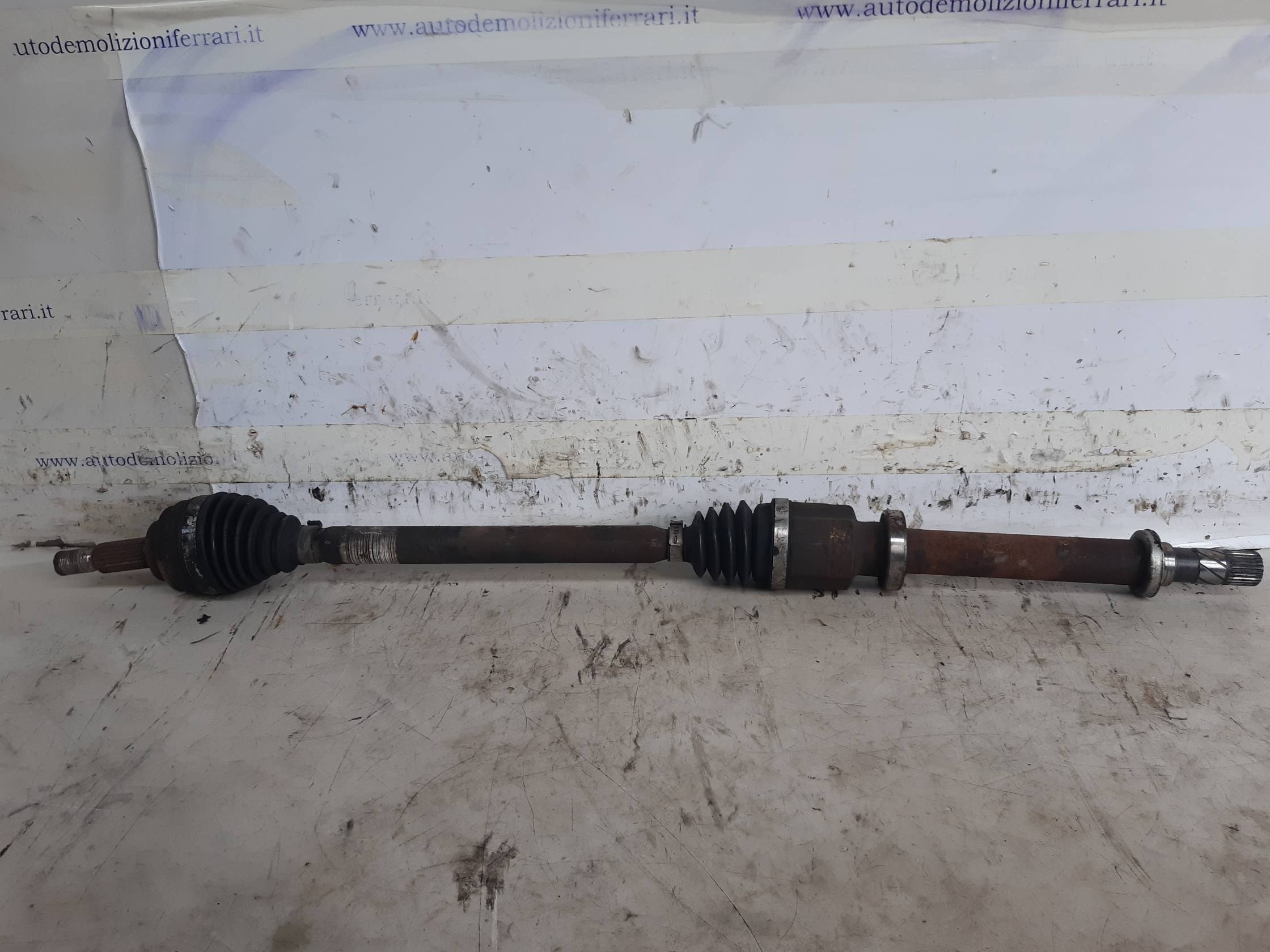 Semialbero ant. compl. dx.