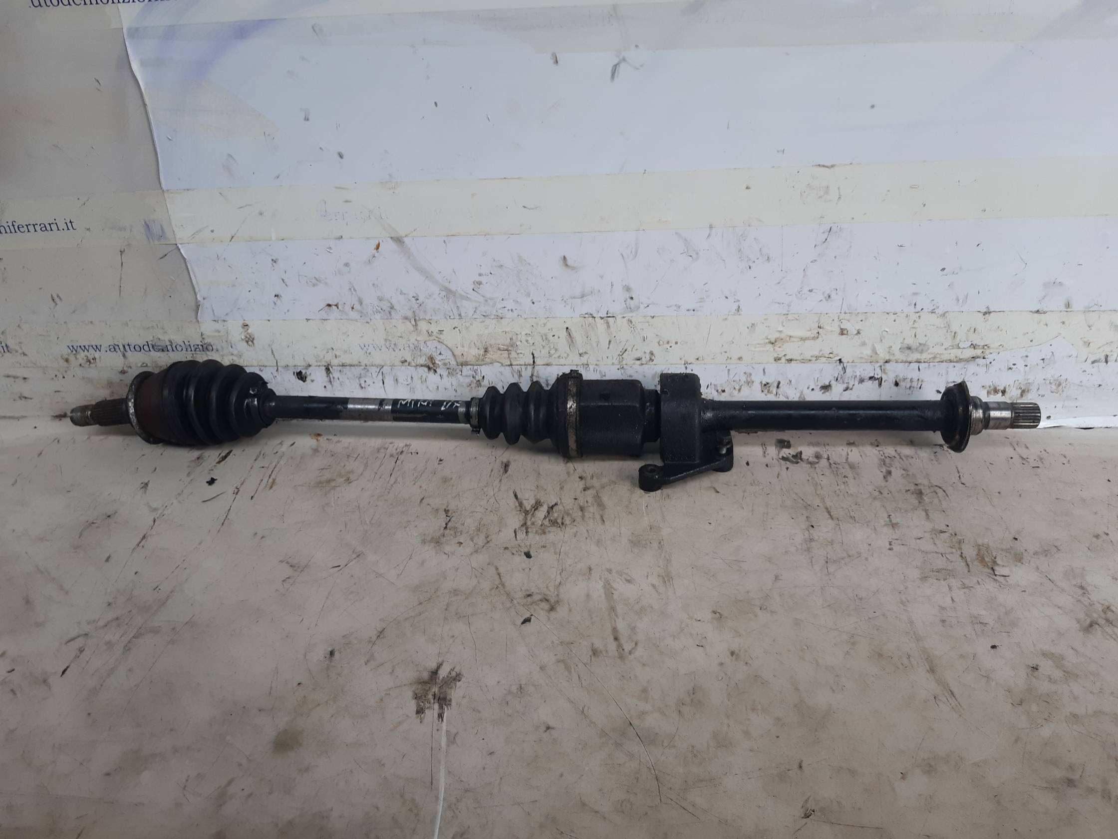 Semialbero ant. compl. dx. Semialbero ant. compl. dx.