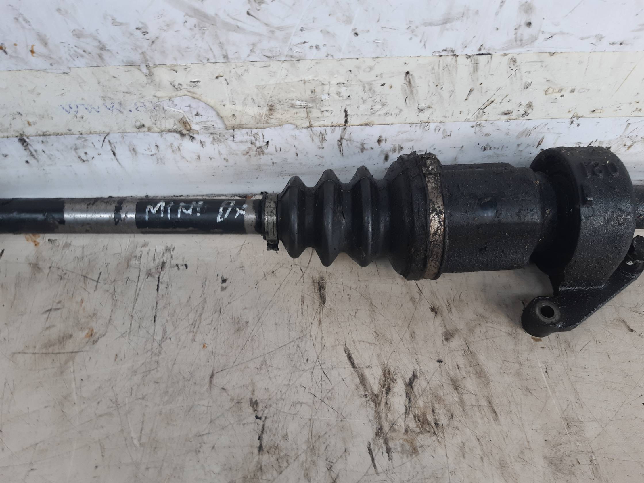 Semialbero ant. compl. dx. Semialbero ant. compl. dx.