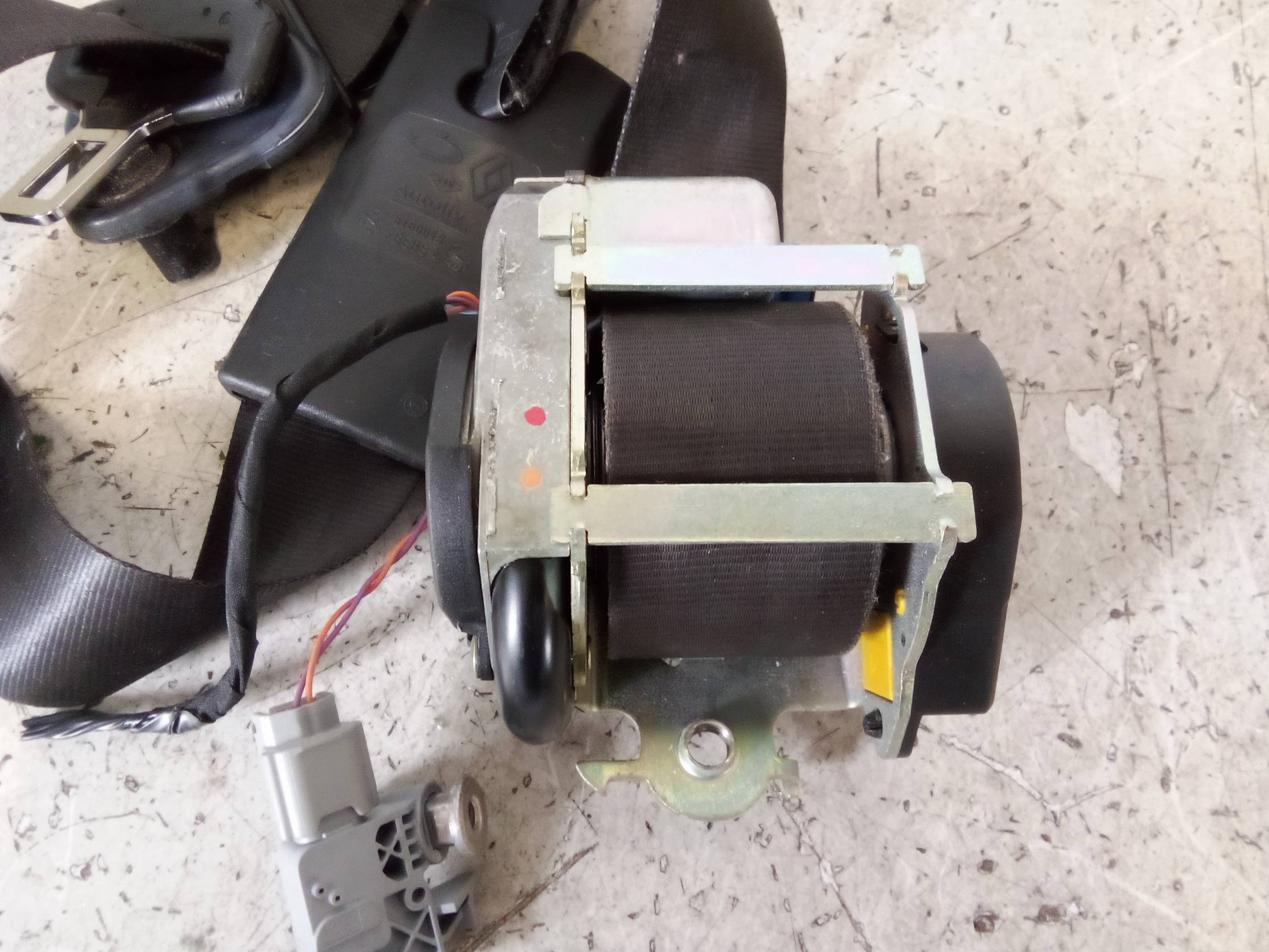 Cintura di sicurezza ant. sx.