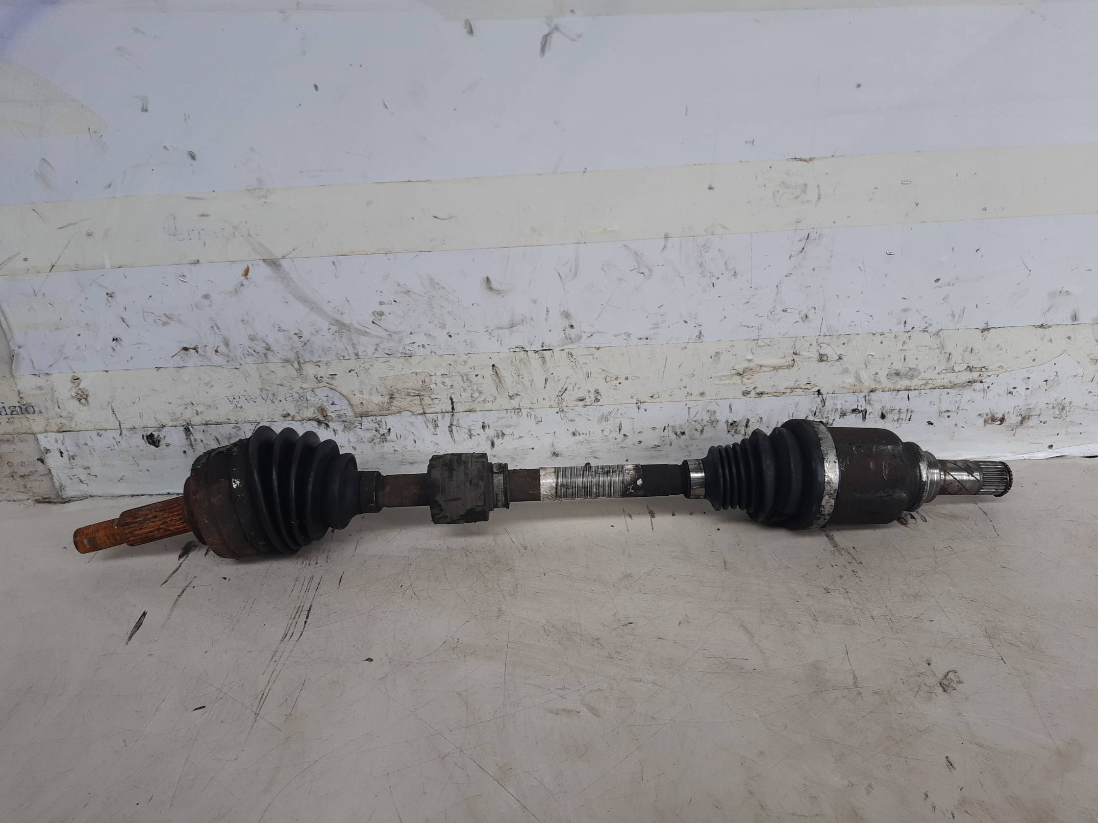 Semialbero ant. compl. sx.