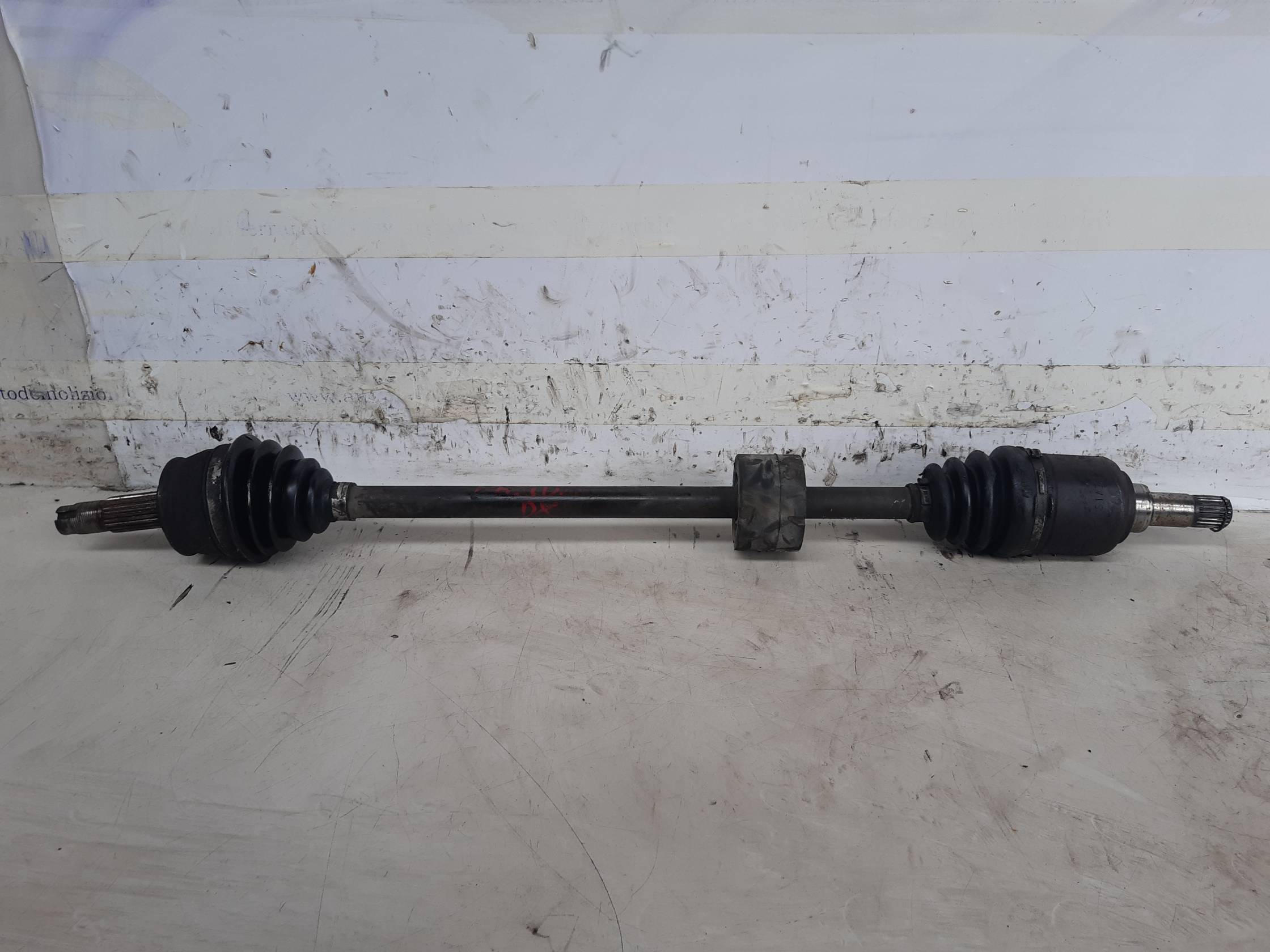 Semialbero ant. compl. dx.