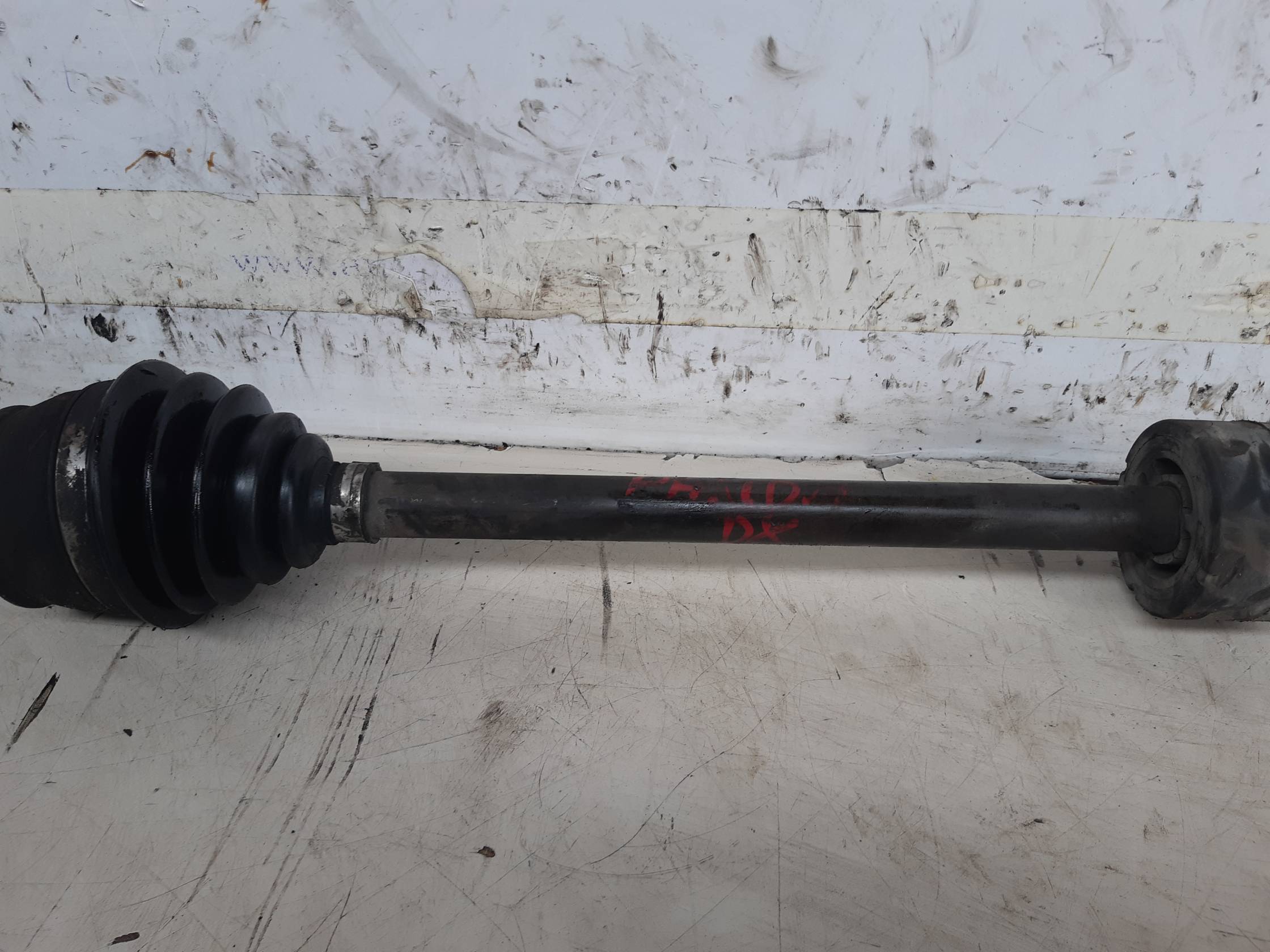 Semialbero ant. compl. dx.