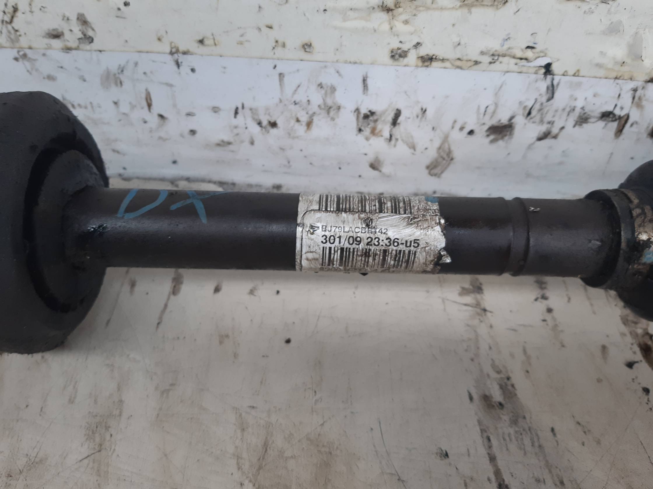 Semialbero ant. compl. dx.