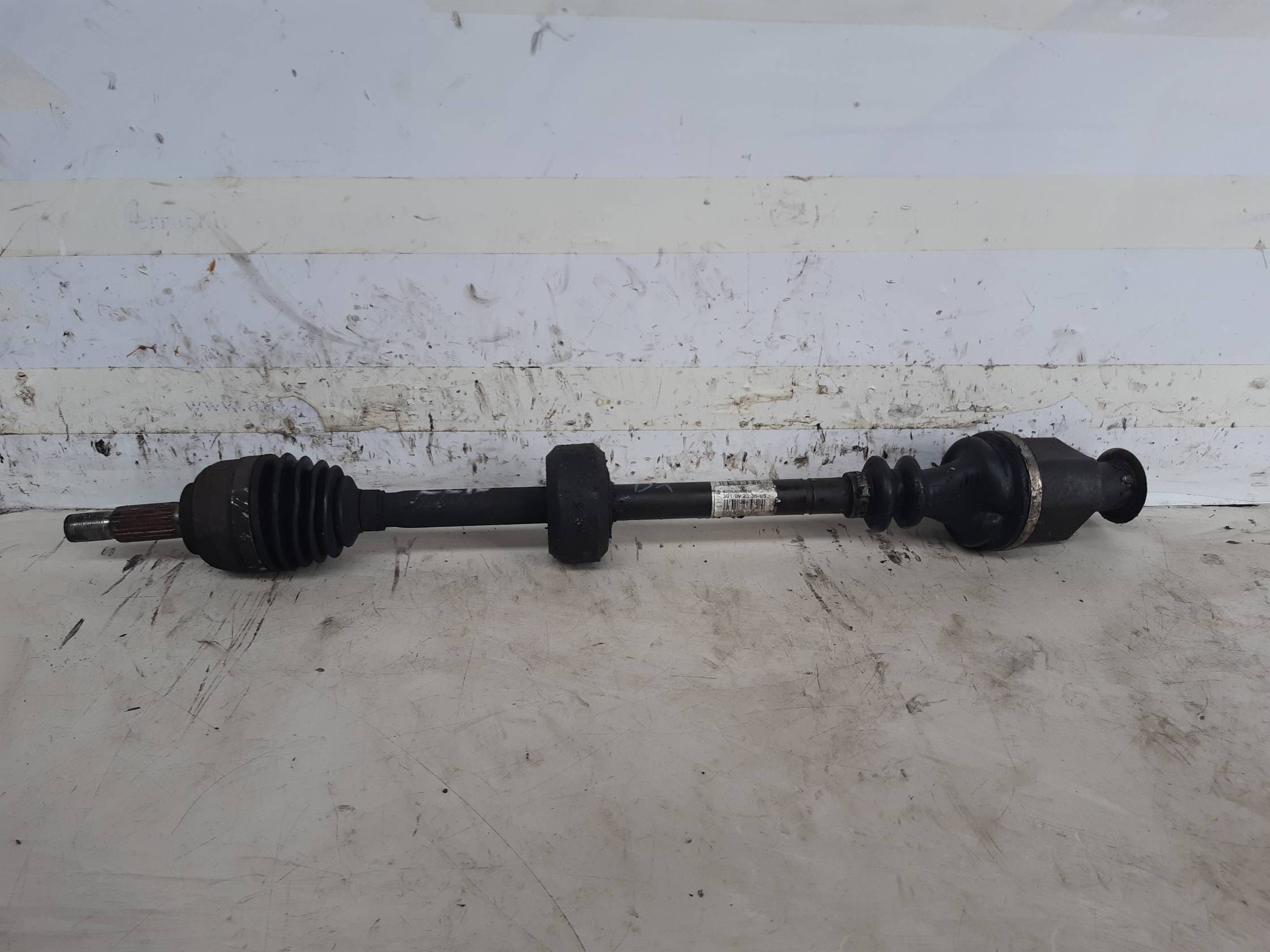 Semialbero ant. compl. dx.