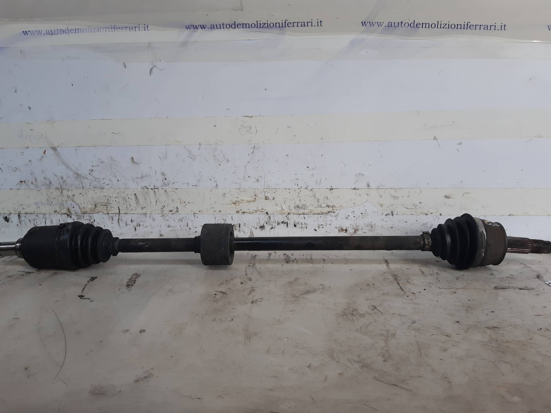 Semialbero ant. compl. dx.