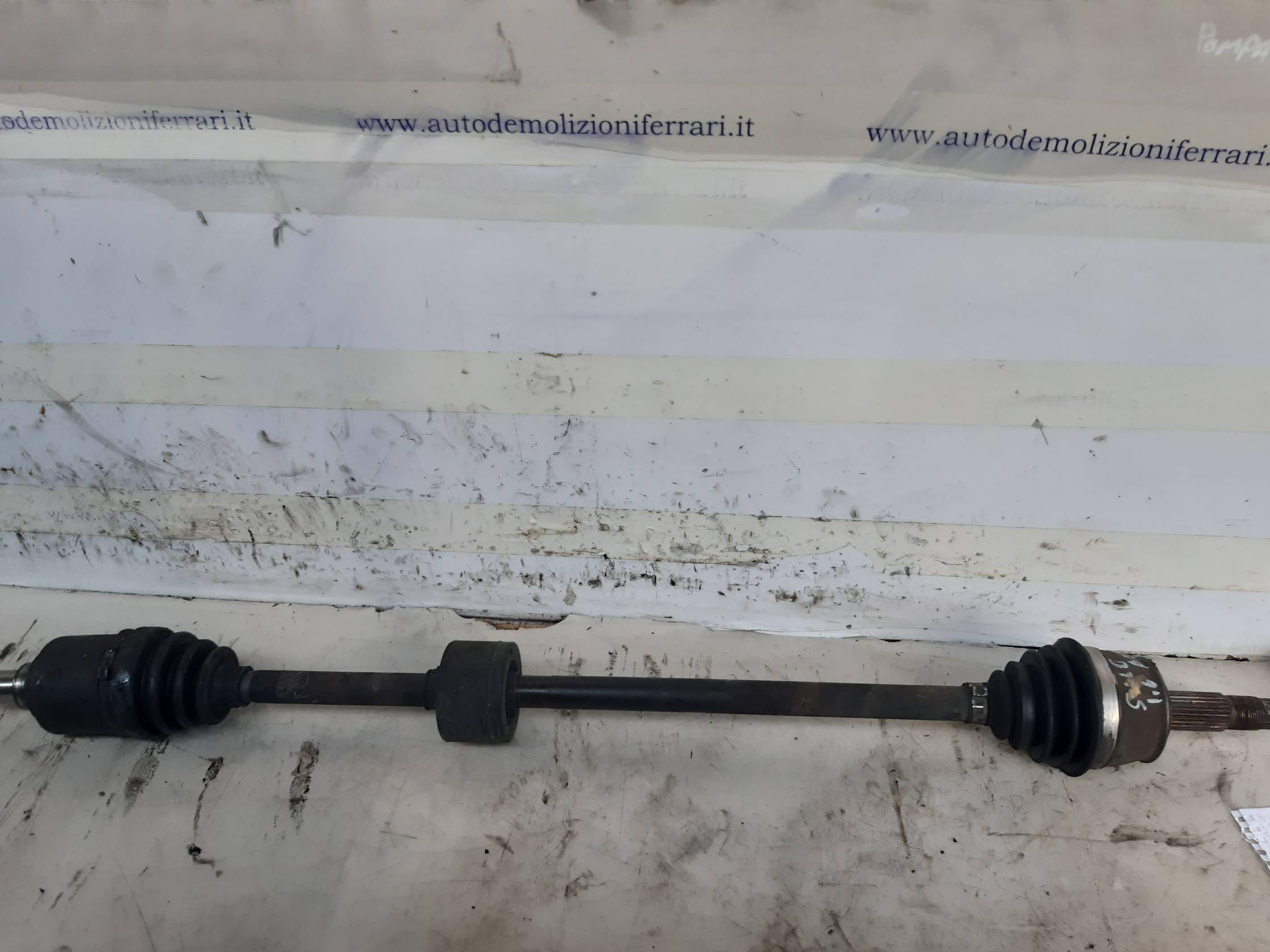 Semialbero ant. compl. dx.