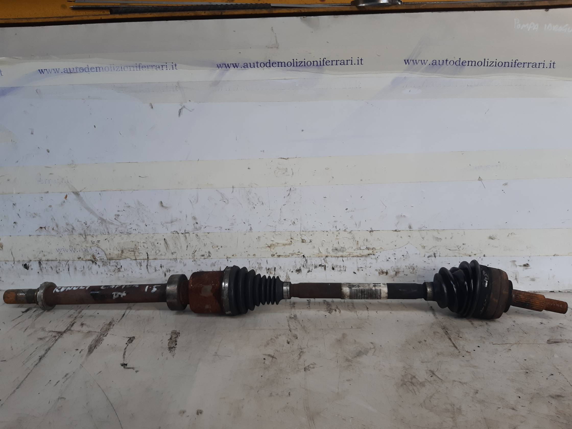 Semialbero ant. compl. dx.