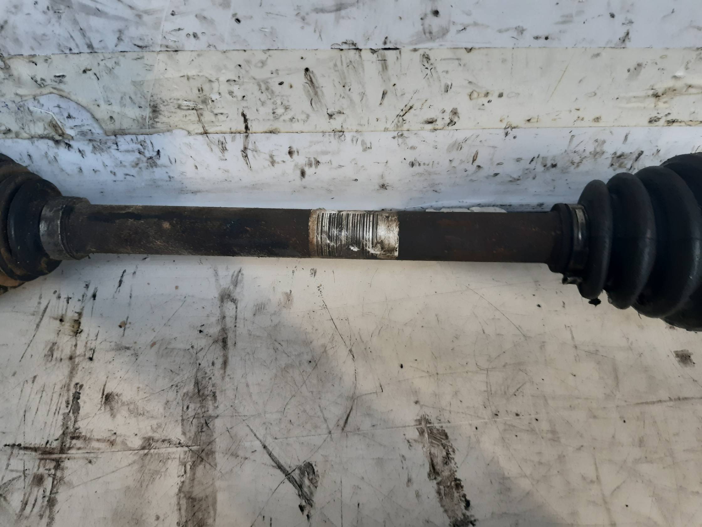 Semialbero ant. compl. dx.