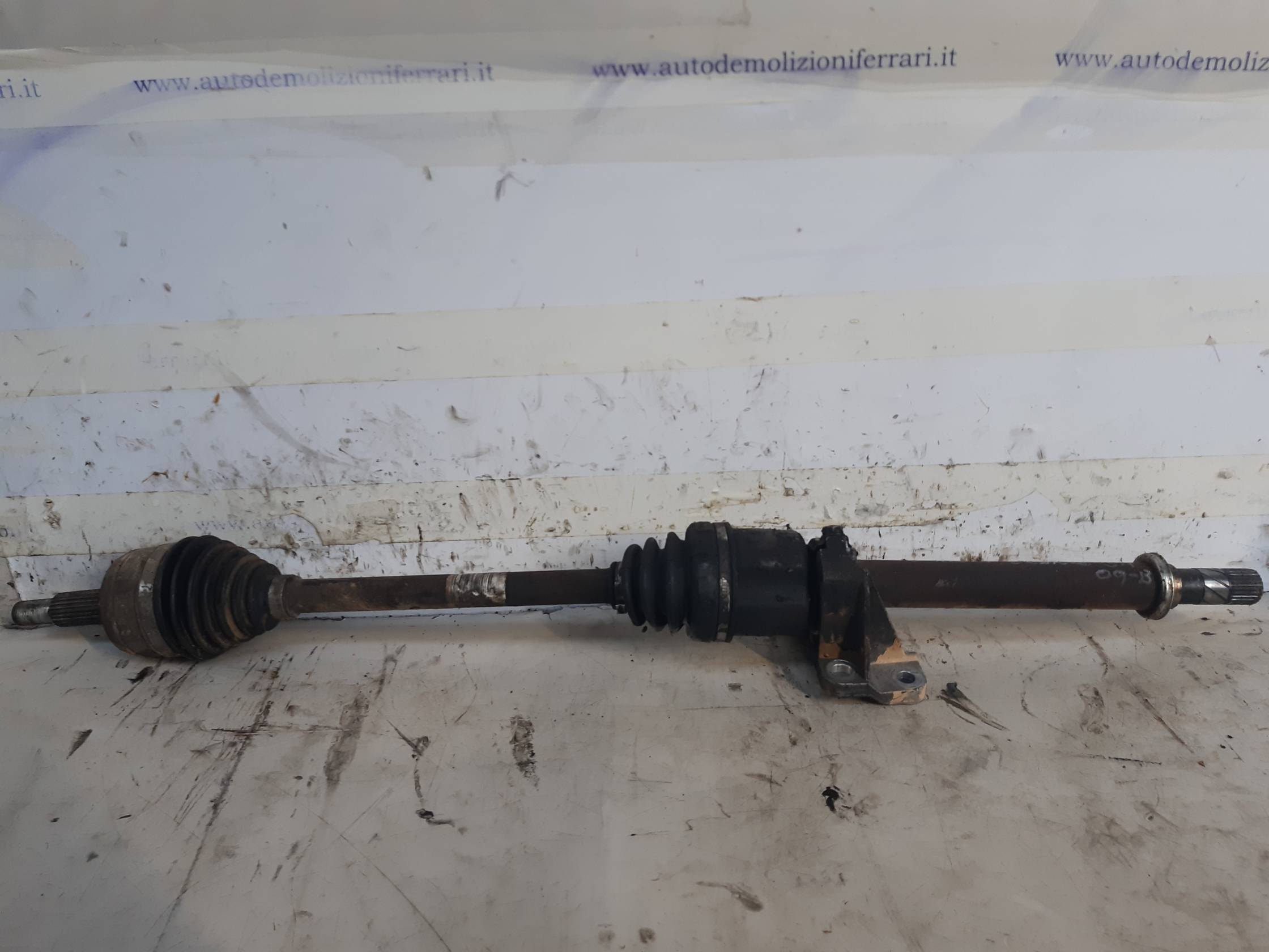 Semialbero ant. compl. dx.