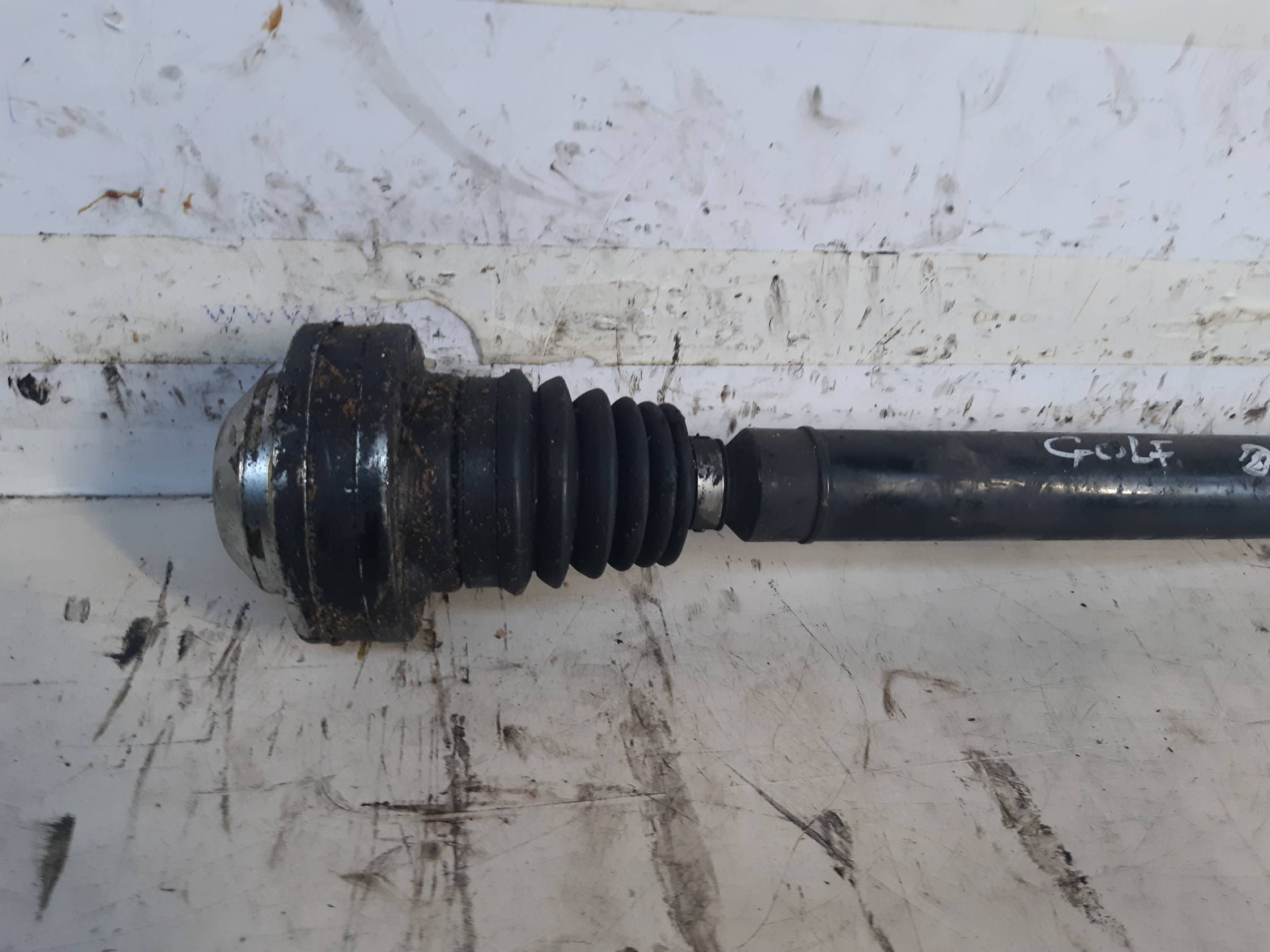 Semialbero ant. compl. dx.