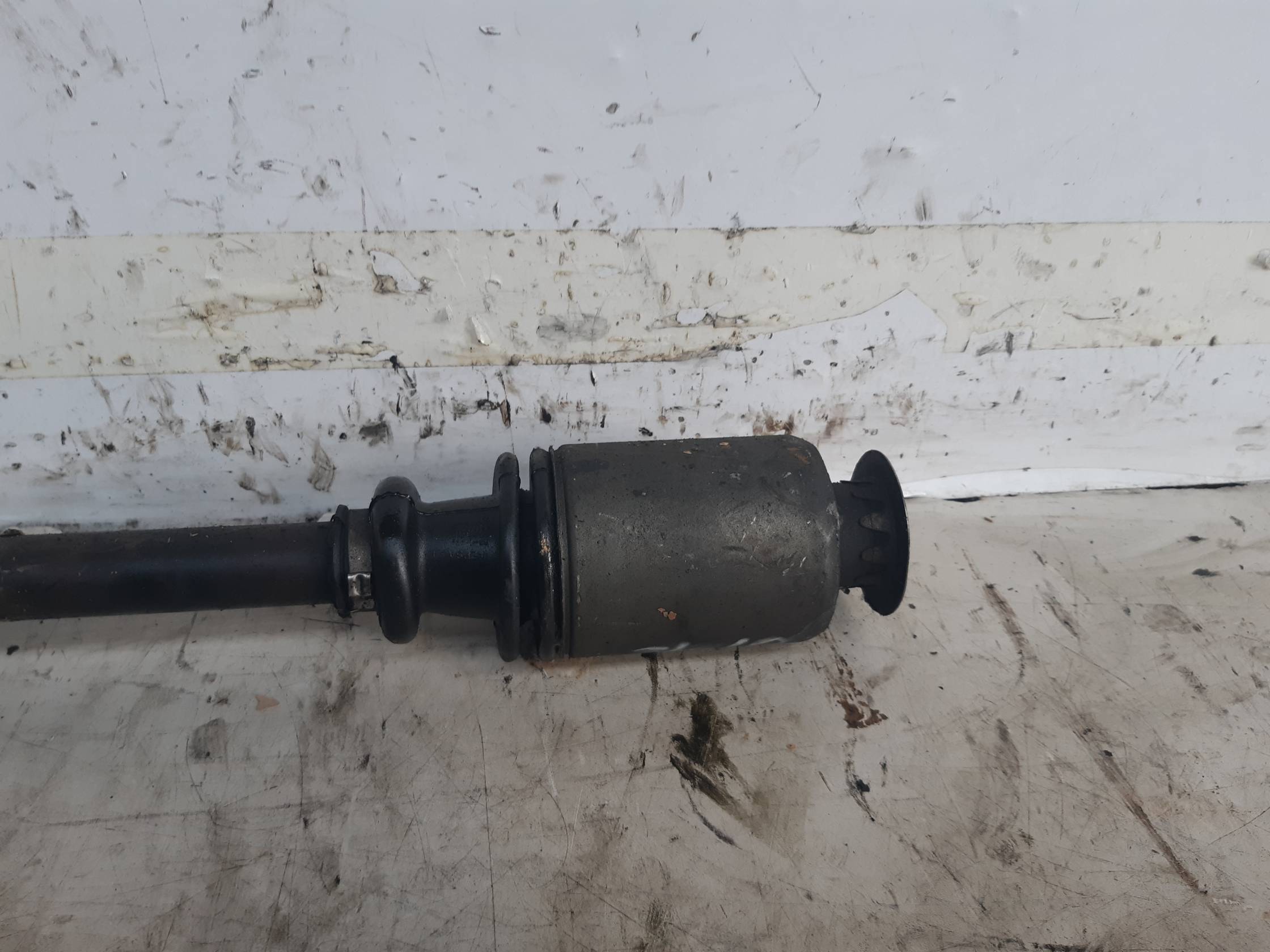 Semialbero ant. compl. dx.