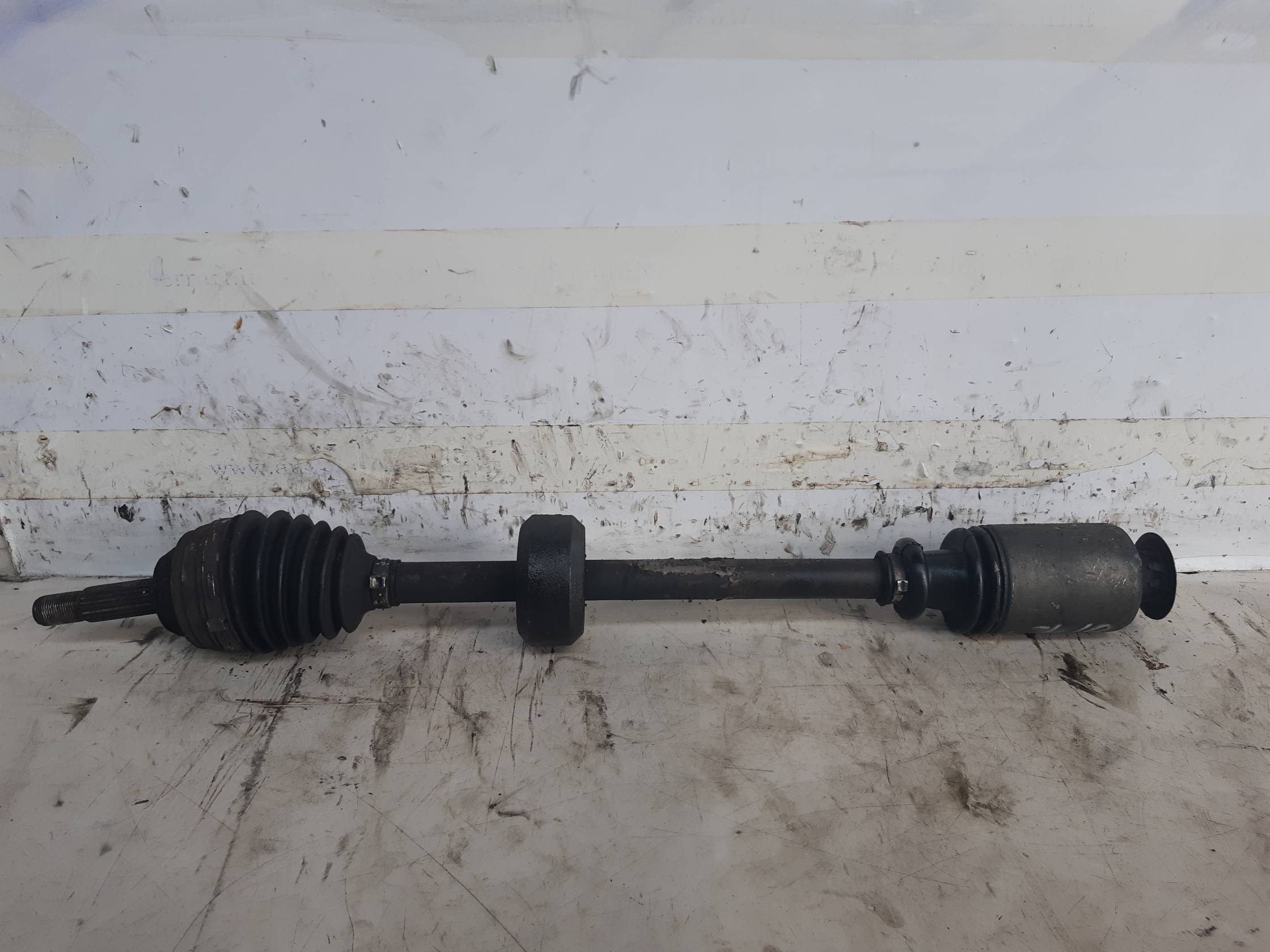 Semialbero ant. compl. dx.