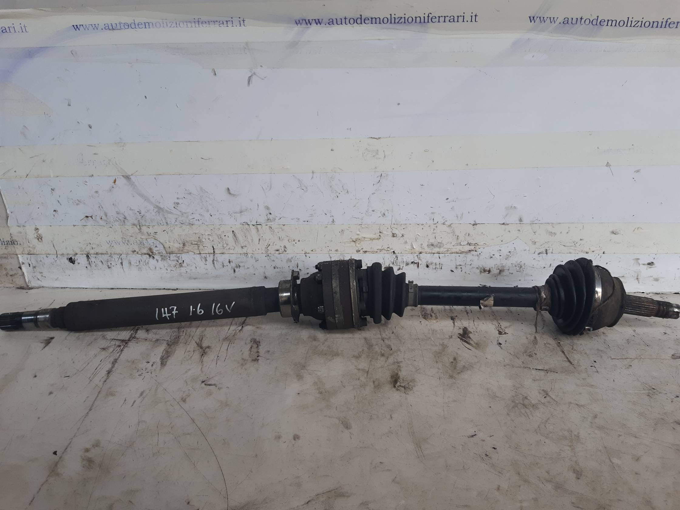 Semialbero ant. compl. dx.