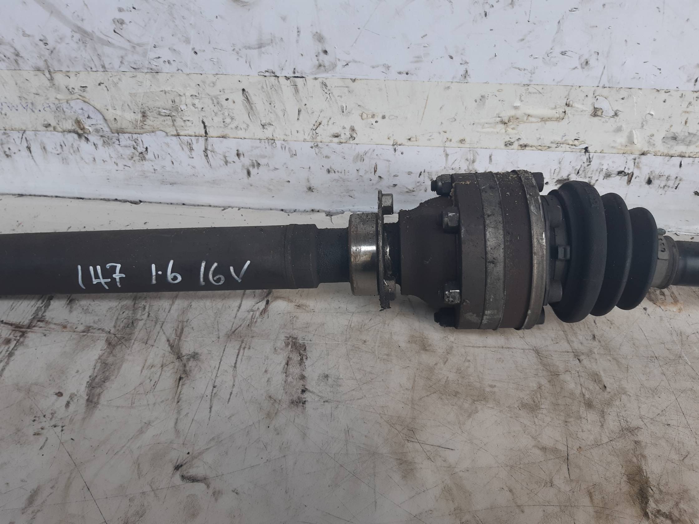 Semialbero ant. compl. dx.