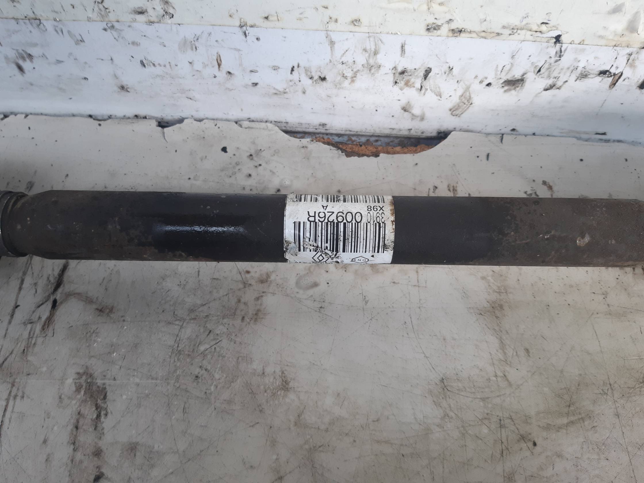 Semialbero ant. compl. dx.