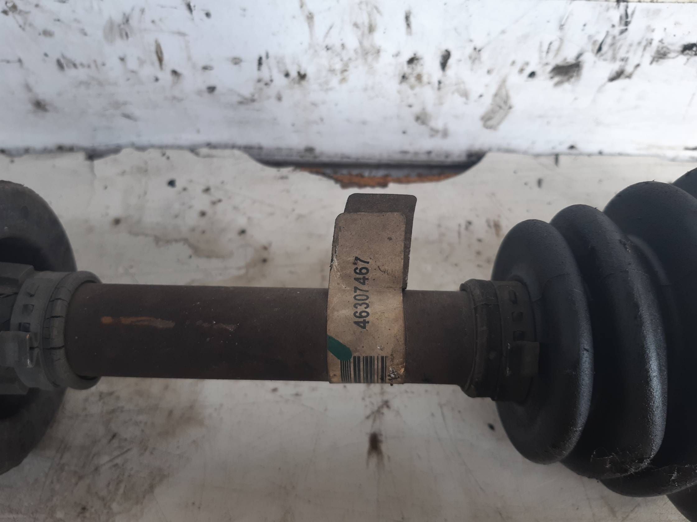 Semialbero ant. compl. dx. Semialbero ant. compl. dx.