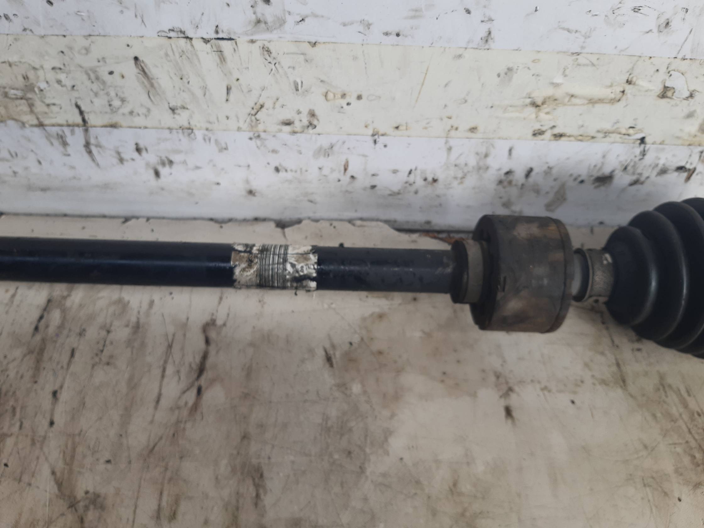 Semialbero ant. compl. dx.