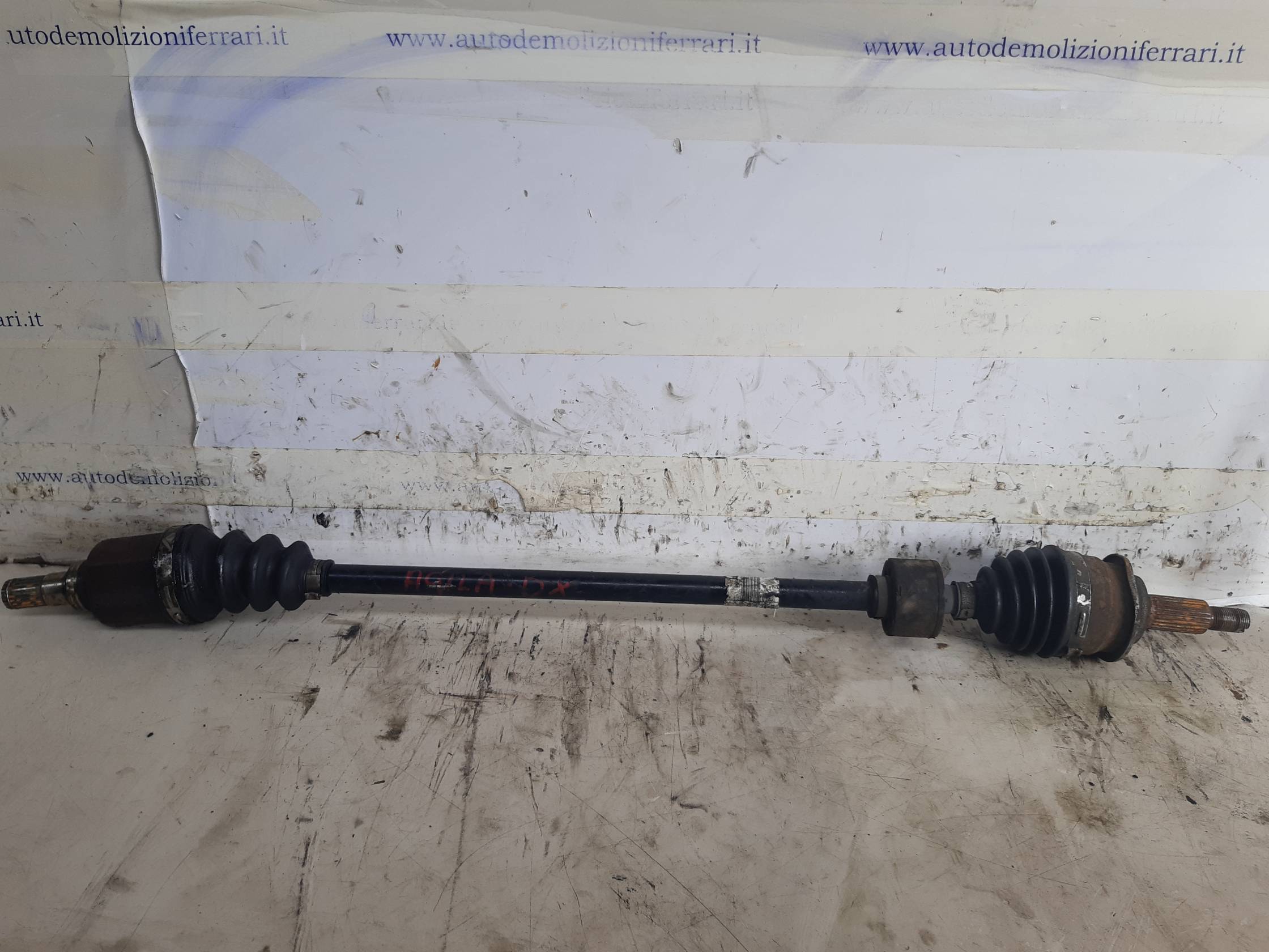 Semialbero ant. compl. dx.