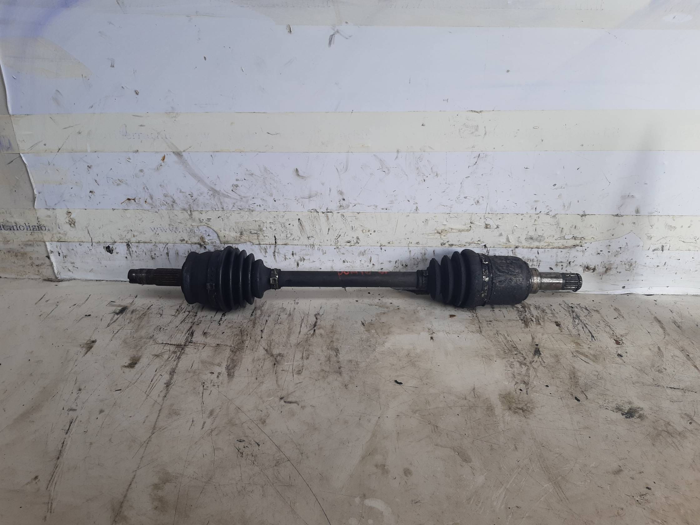 Semialbero ant. compl. sx. Semialbero ant. compl. sx.