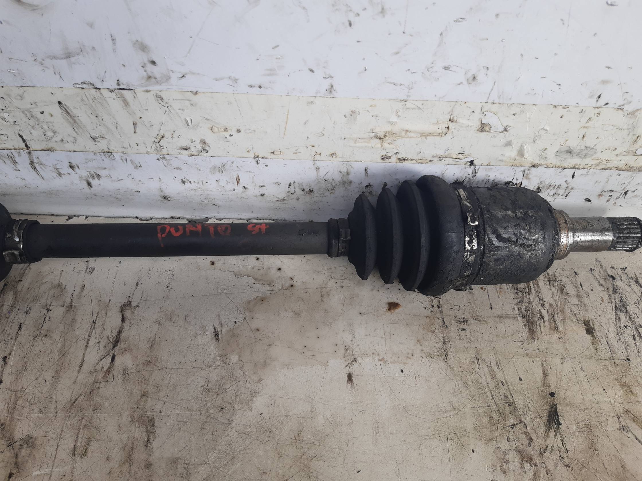 Semialbero ant. compl. sx. Semialbero ant. compl. sx.