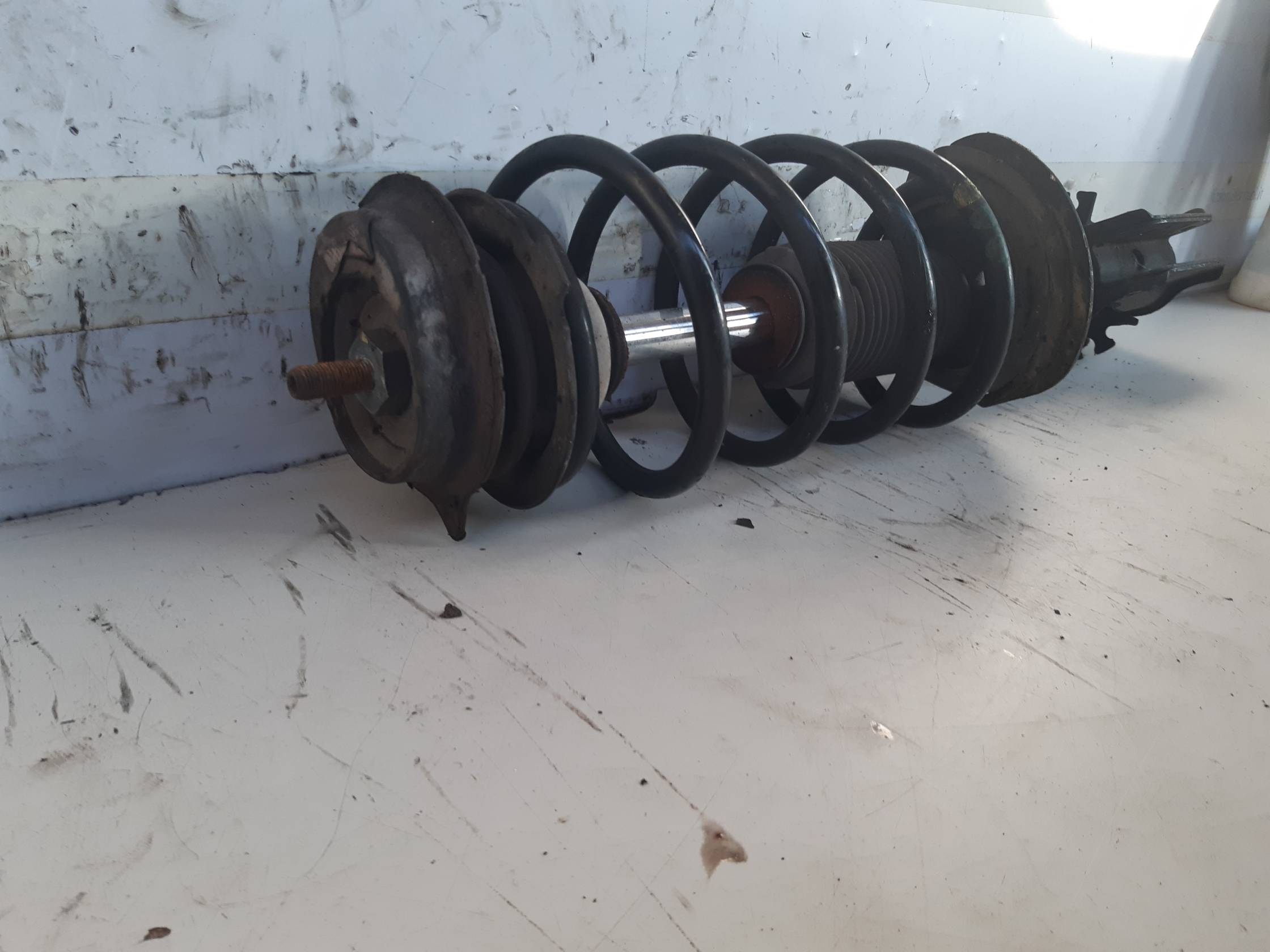 Ammortizzatore ant. sx.