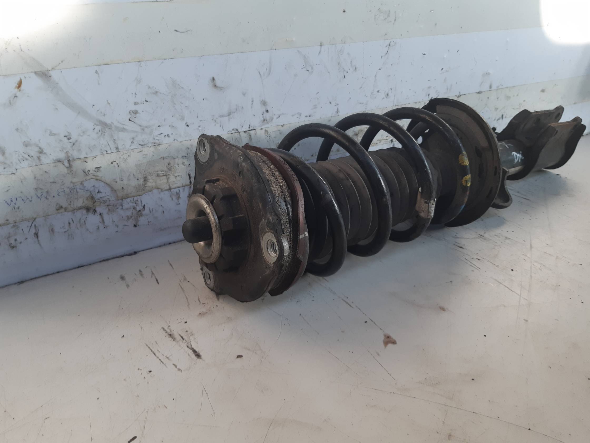 Ammortizzatore ant. sx.