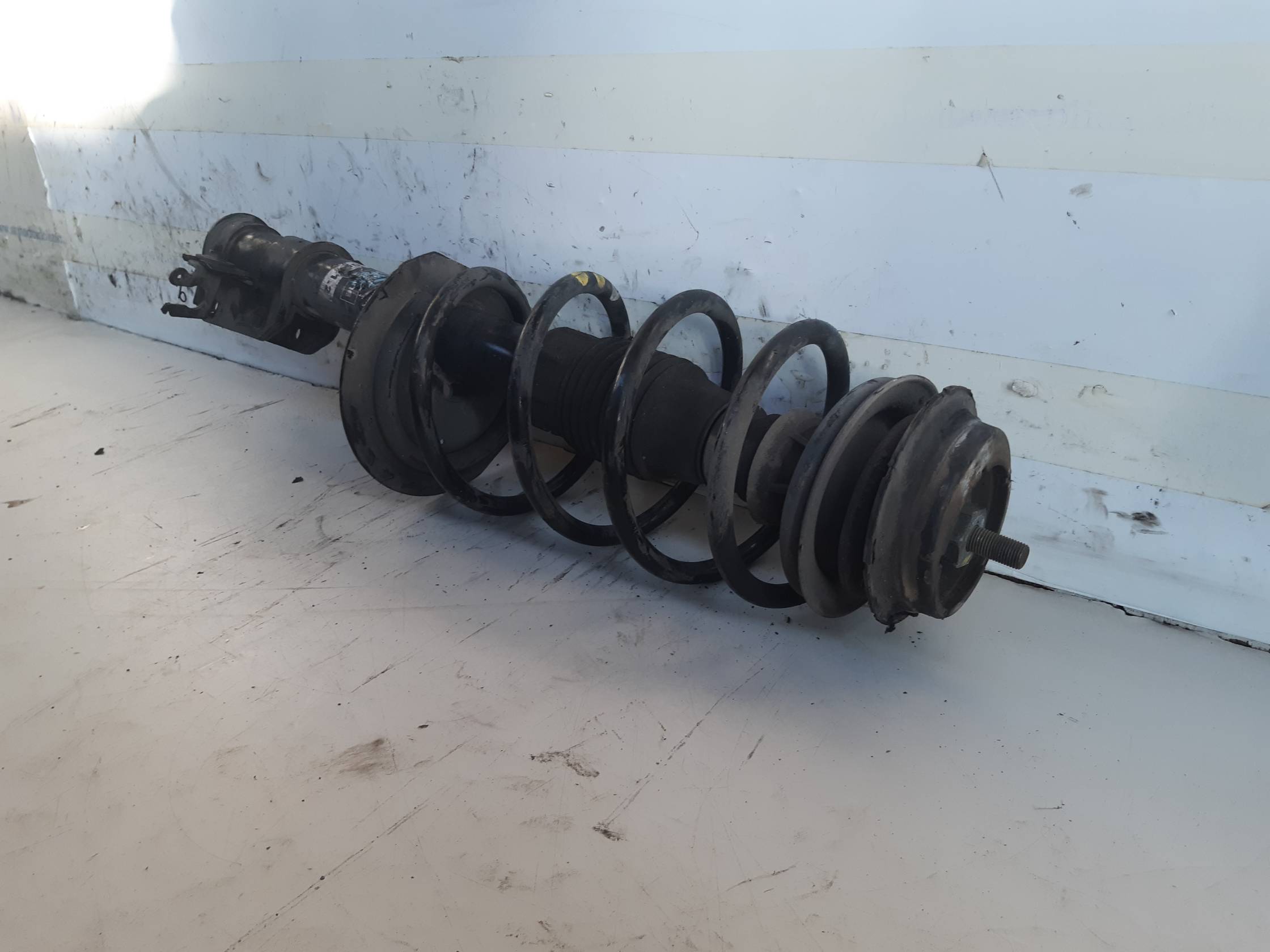 Ammortizzatore ant. sx.