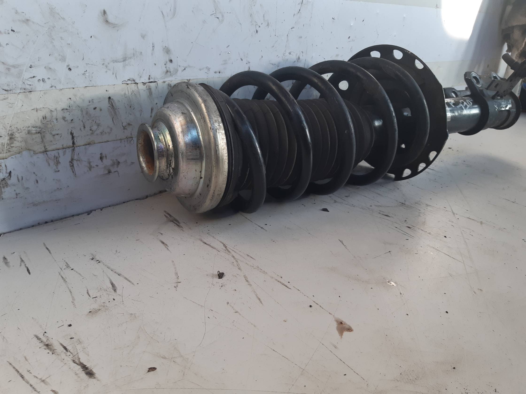 Ammortizzatore ant. sx.