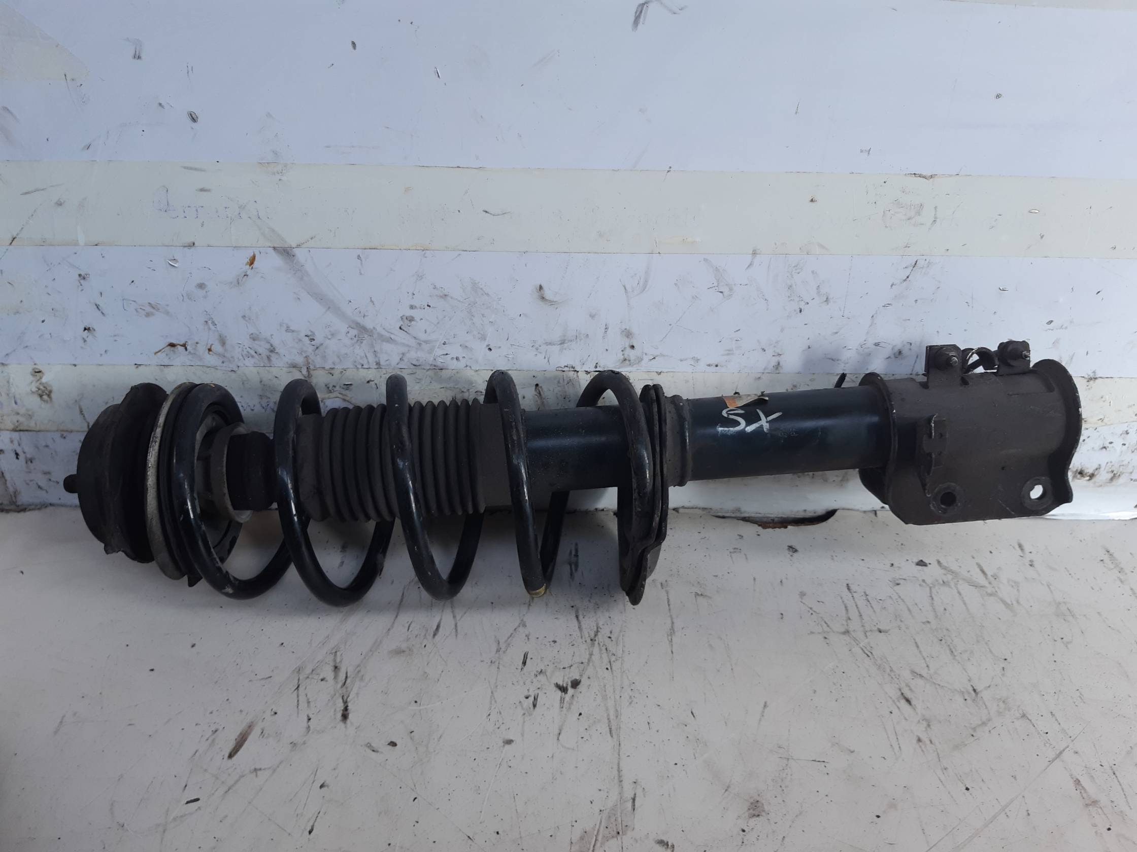 Ammortizzatore ant. sx.