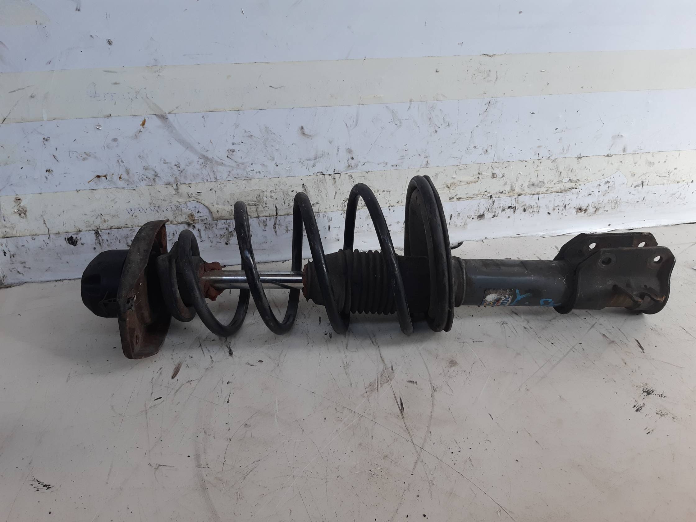 Ammortizzatore ant. sx.