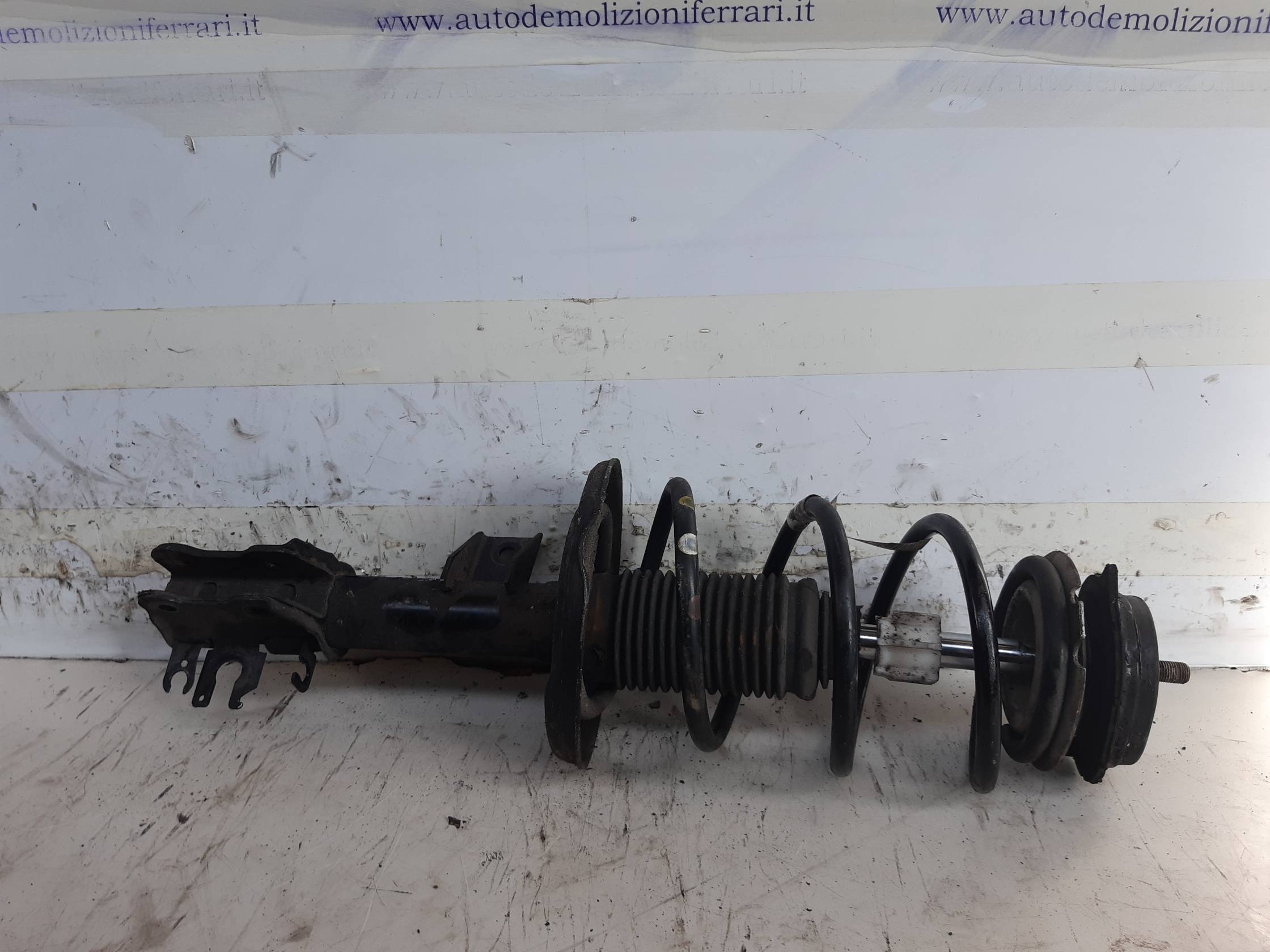Ammortizzatore ant. sx.