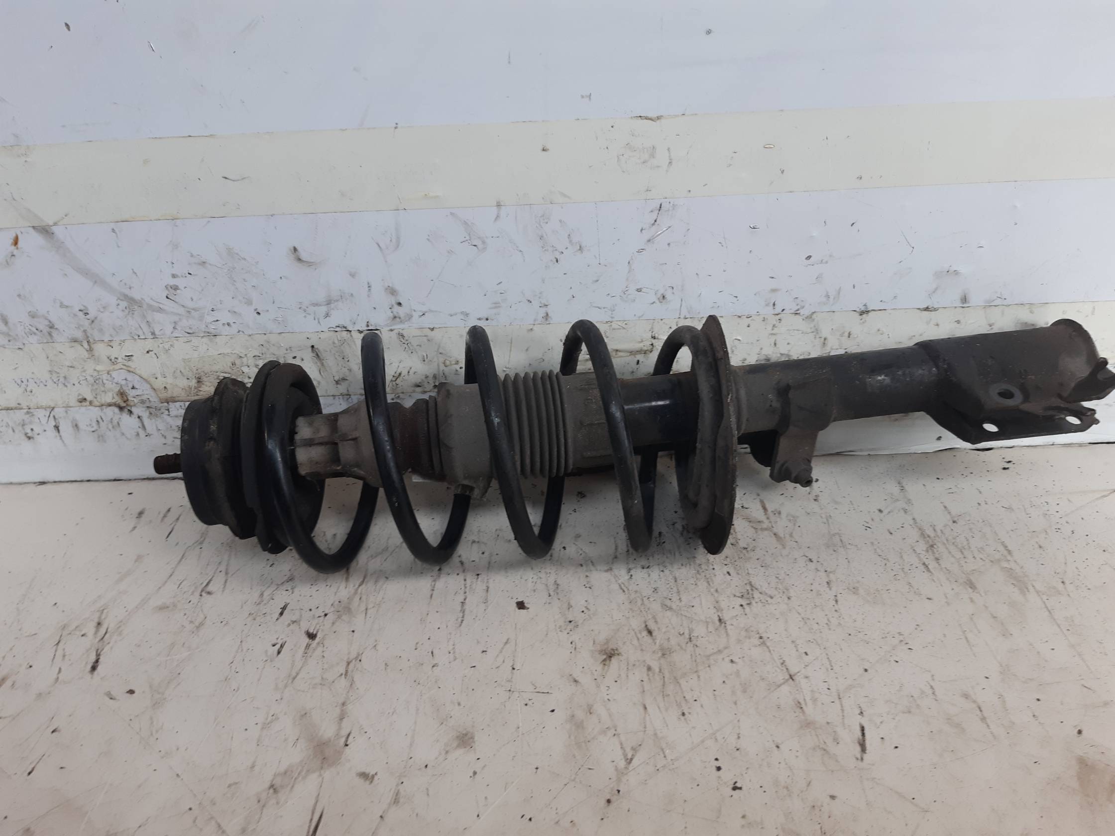 Ammortizzatore ant. sx.