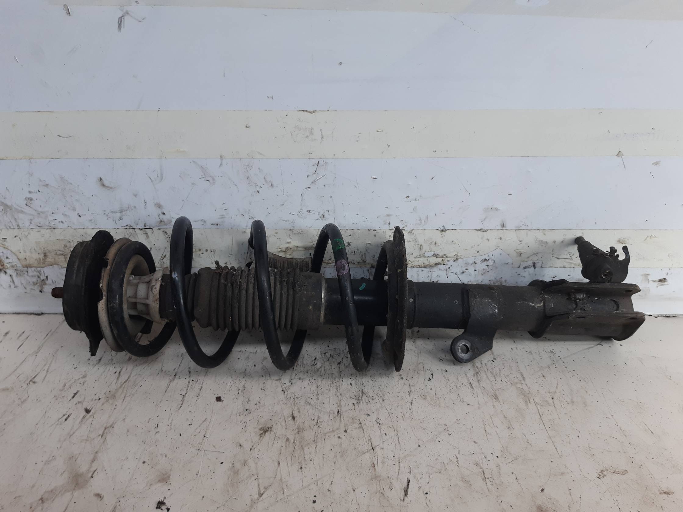 Ammortizzatore ant. dx.