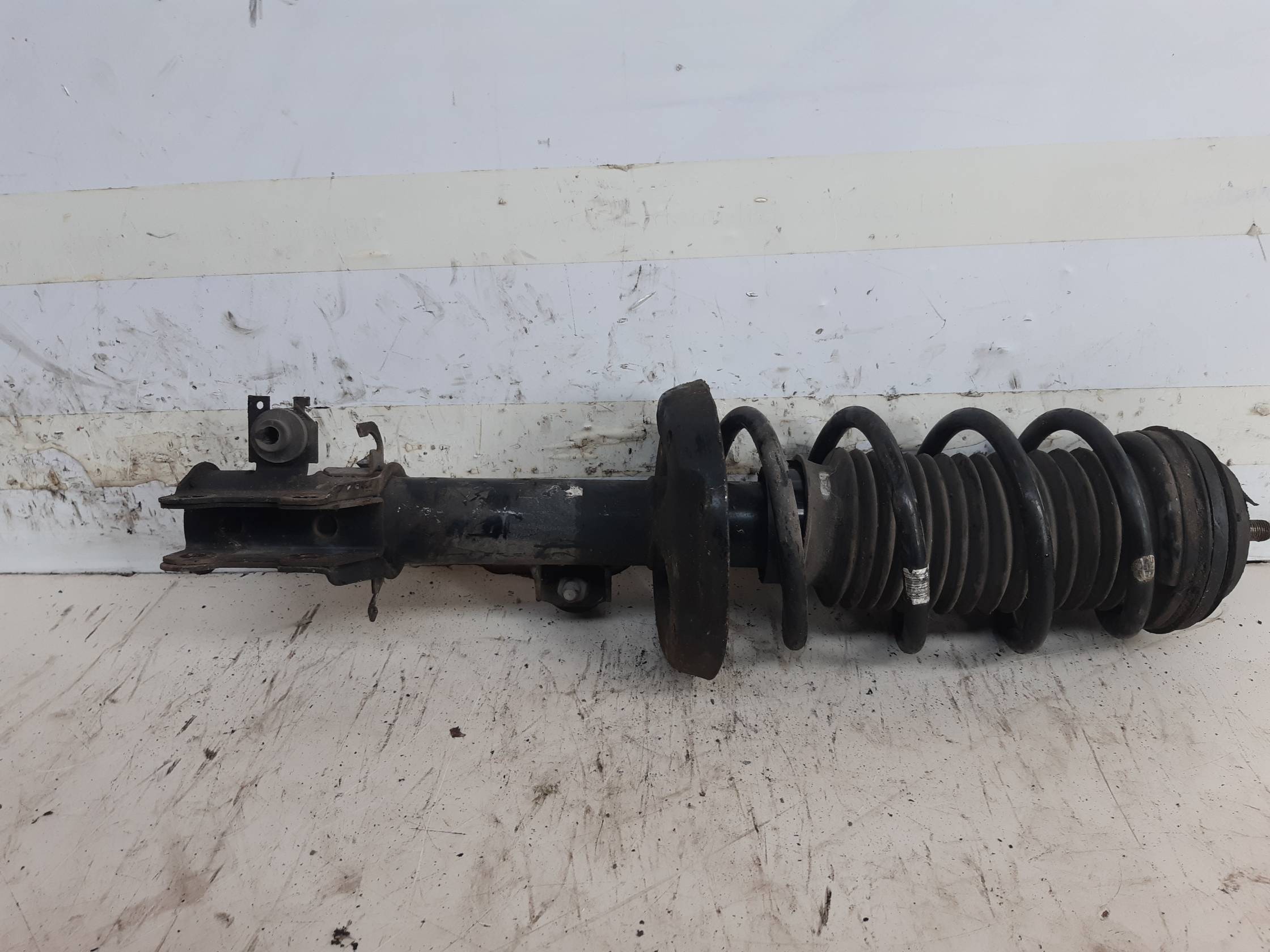 Ammortizzatore ant. sx.