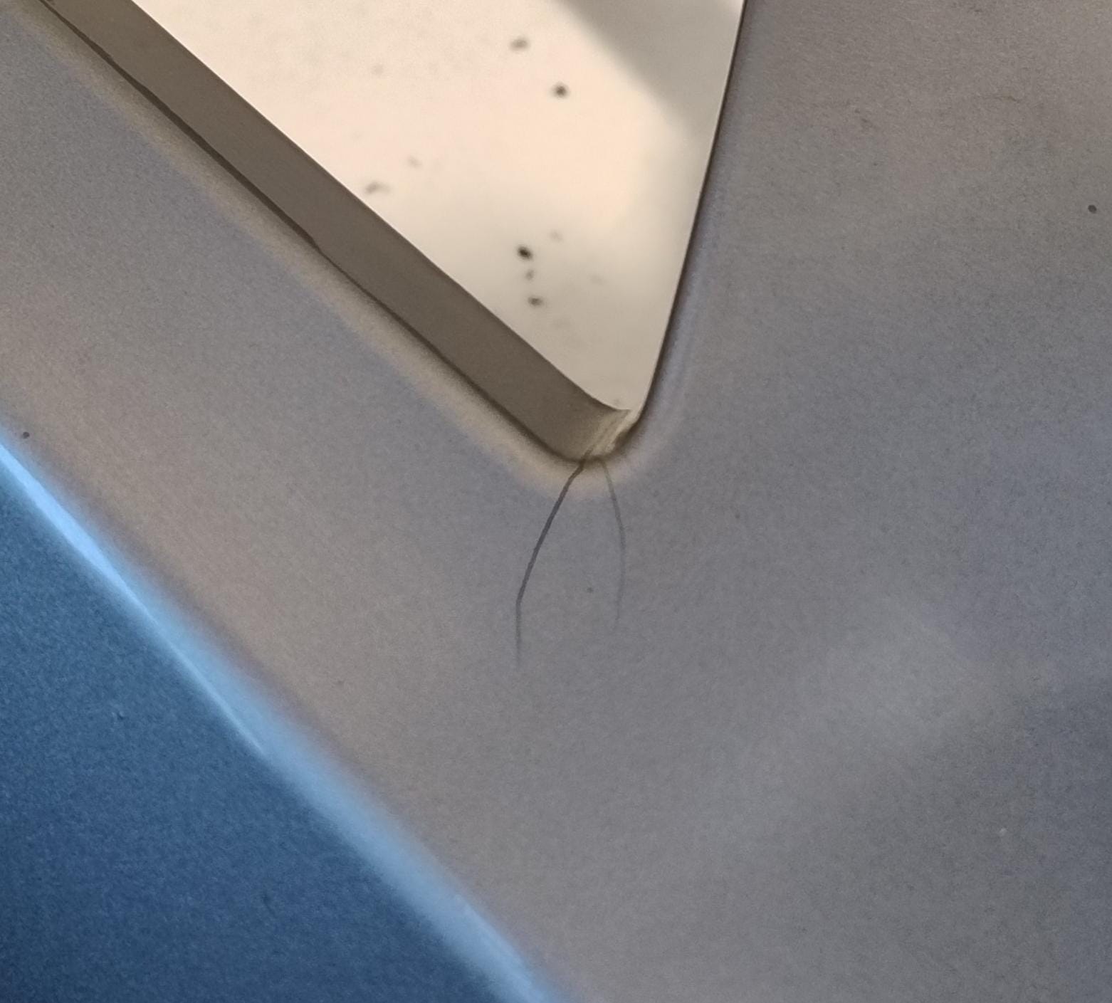 Paraurti ant. Paraurti ant.