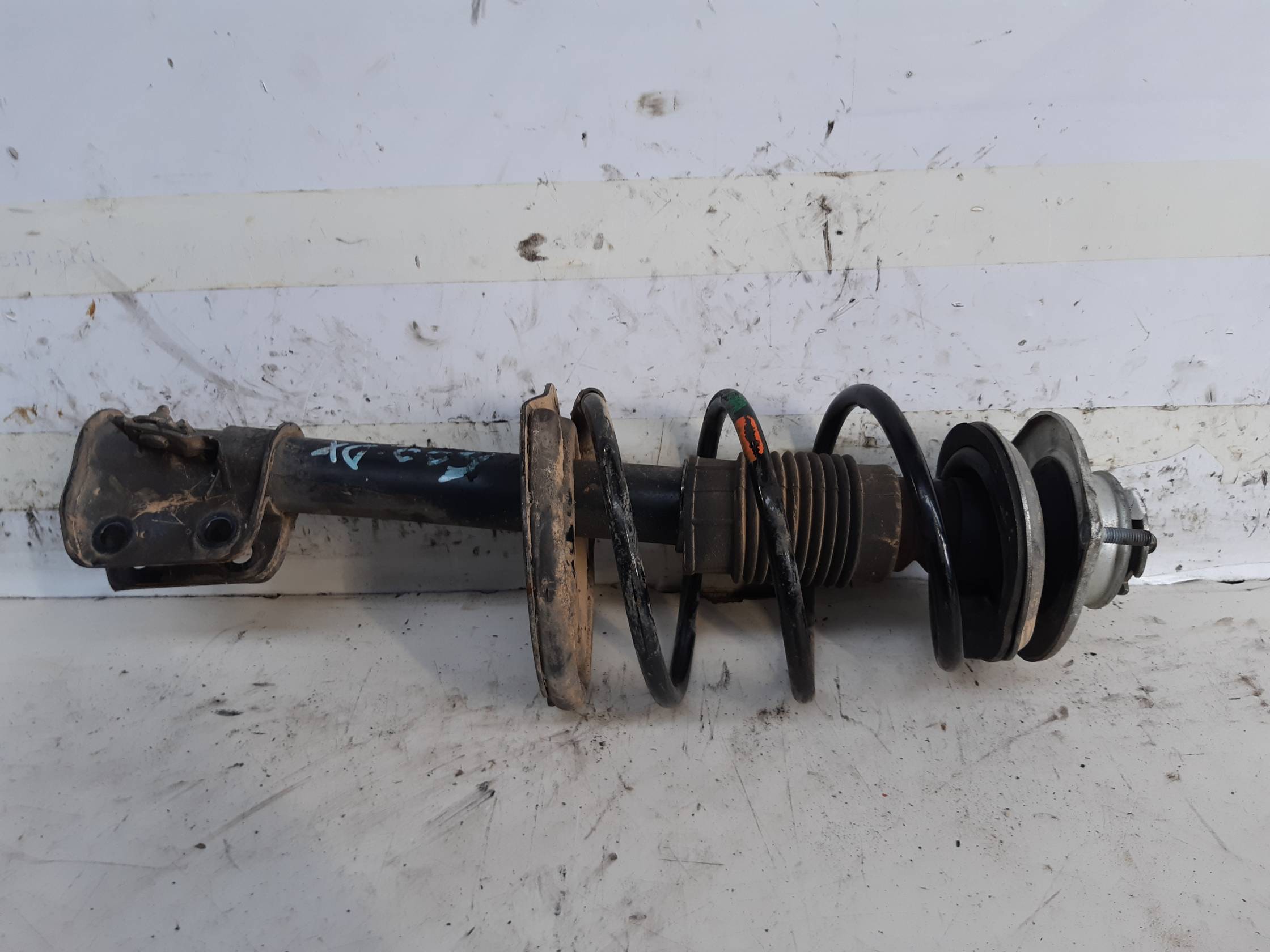 Ammortizzatore ant. dx.