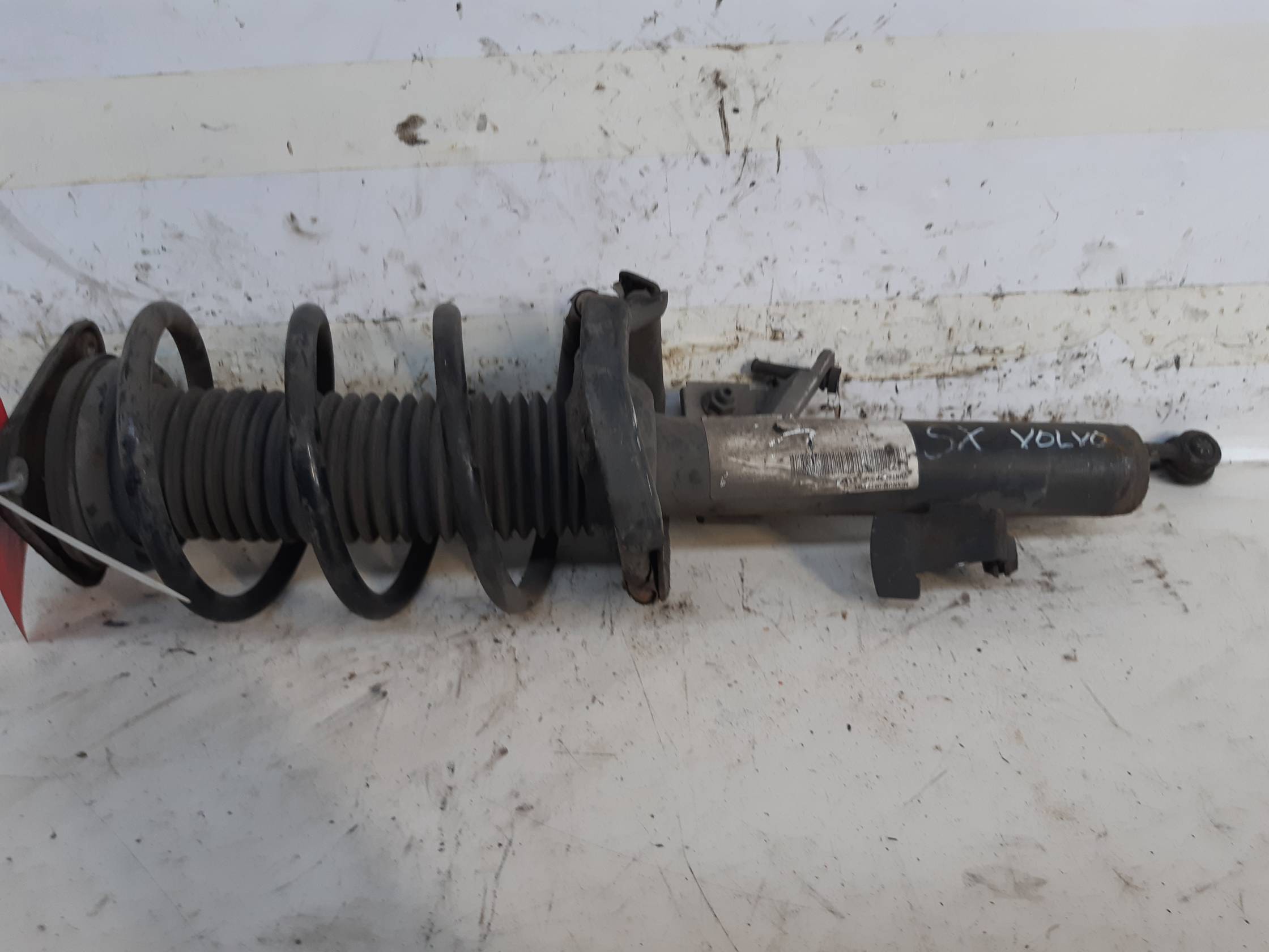 Ammortizzatore ant. dx.