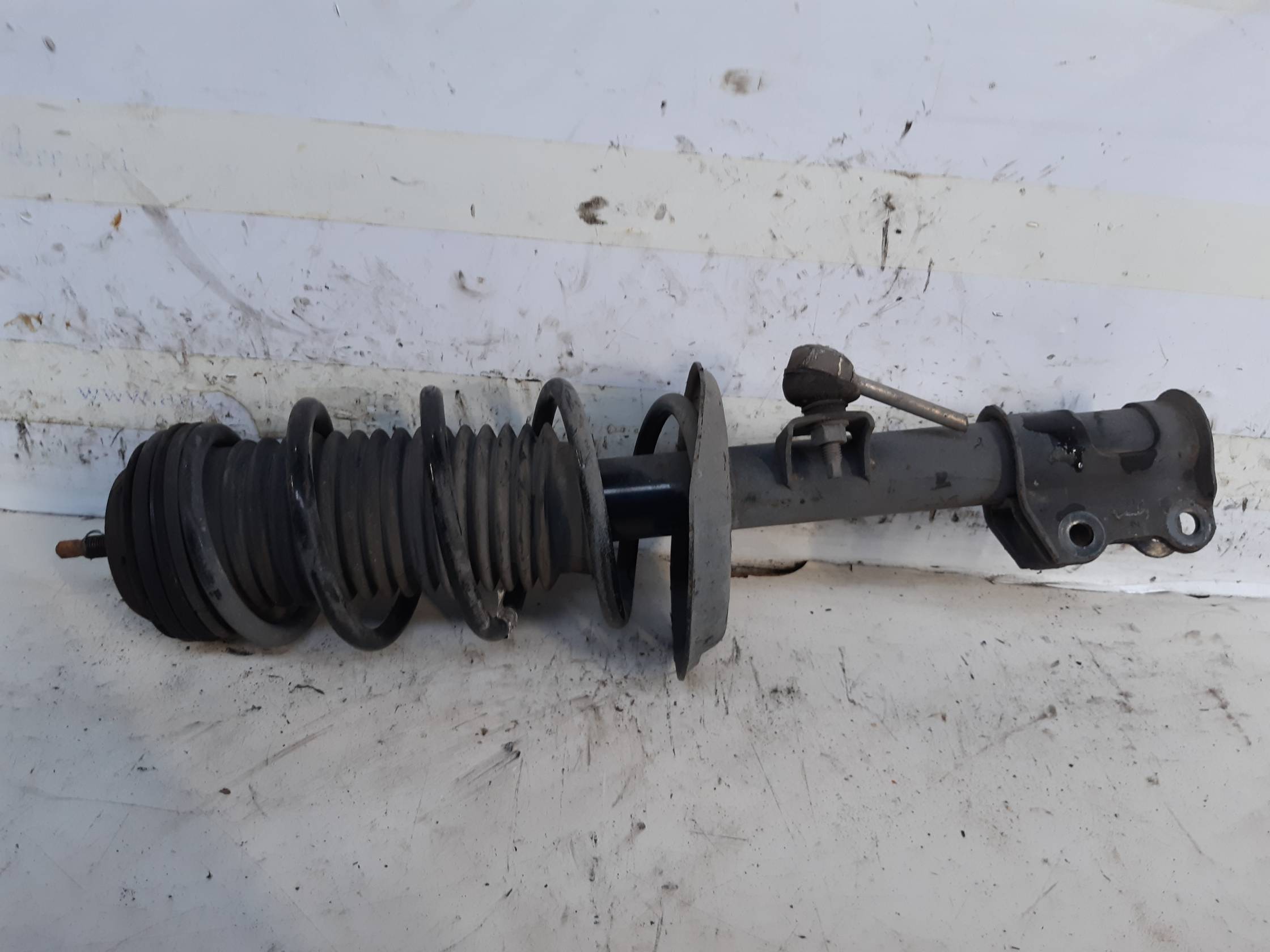 Ammortizzatore ant. sx.