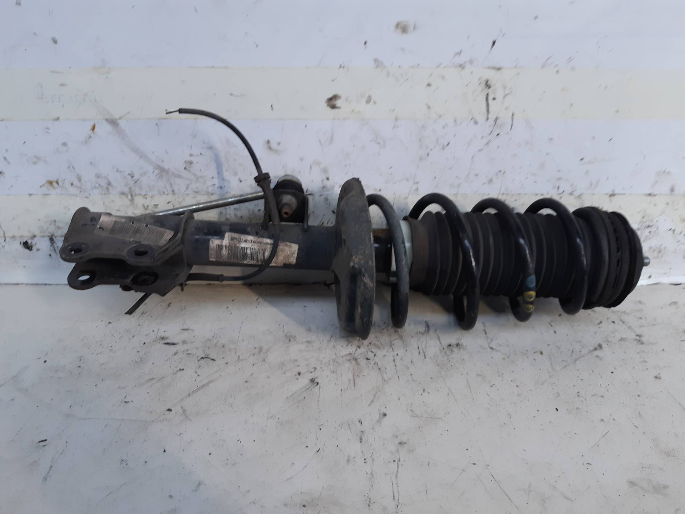 Ammortizzatore ant. dx.