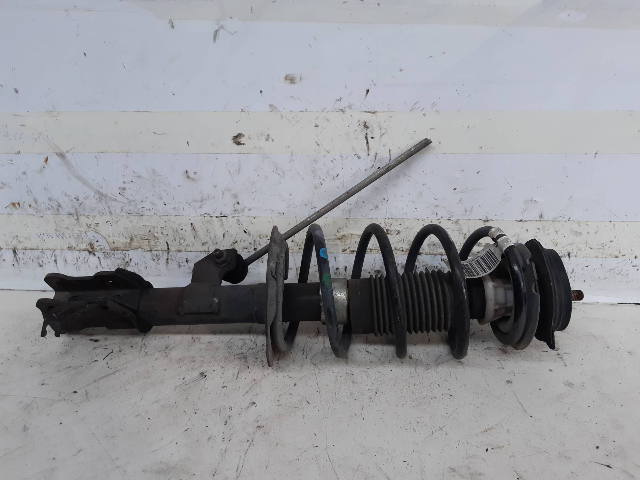 Ammortizzatore ant. sx.